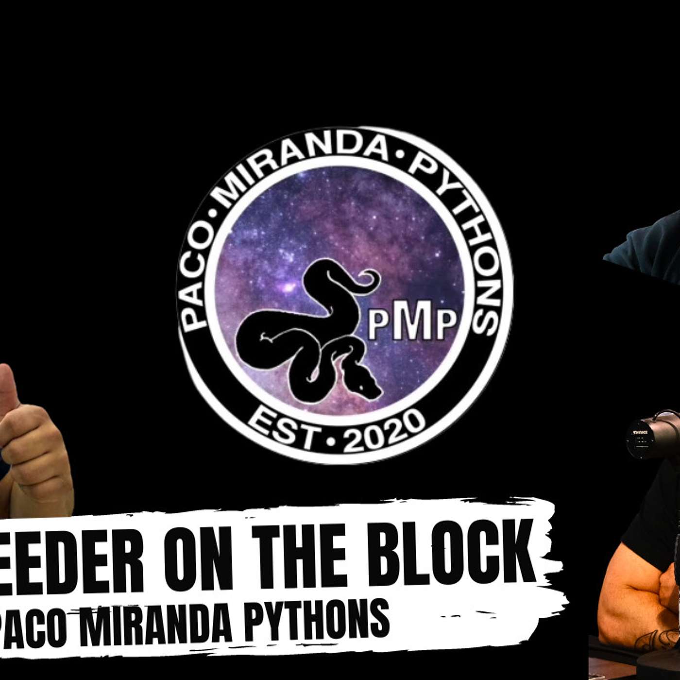 Being one of the few Covid Ball Python breeders still standing | Full Episode