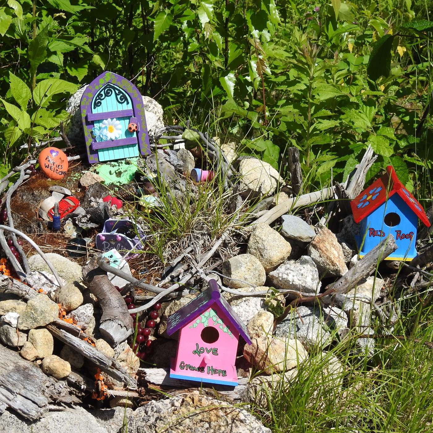 NEW ADDITIONS FOR THE FAIRY COMPLEX