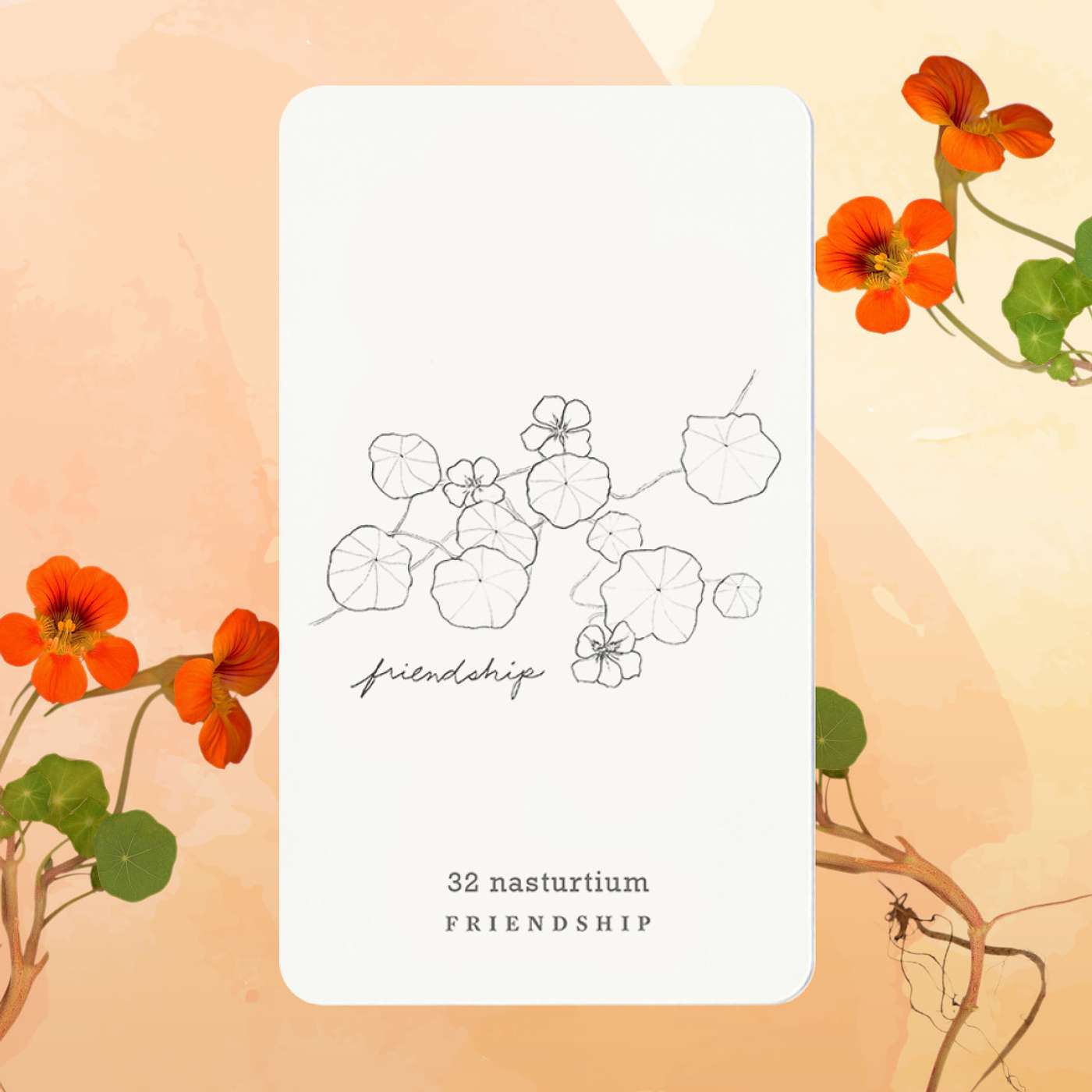 Gratitude Blooming Podcast