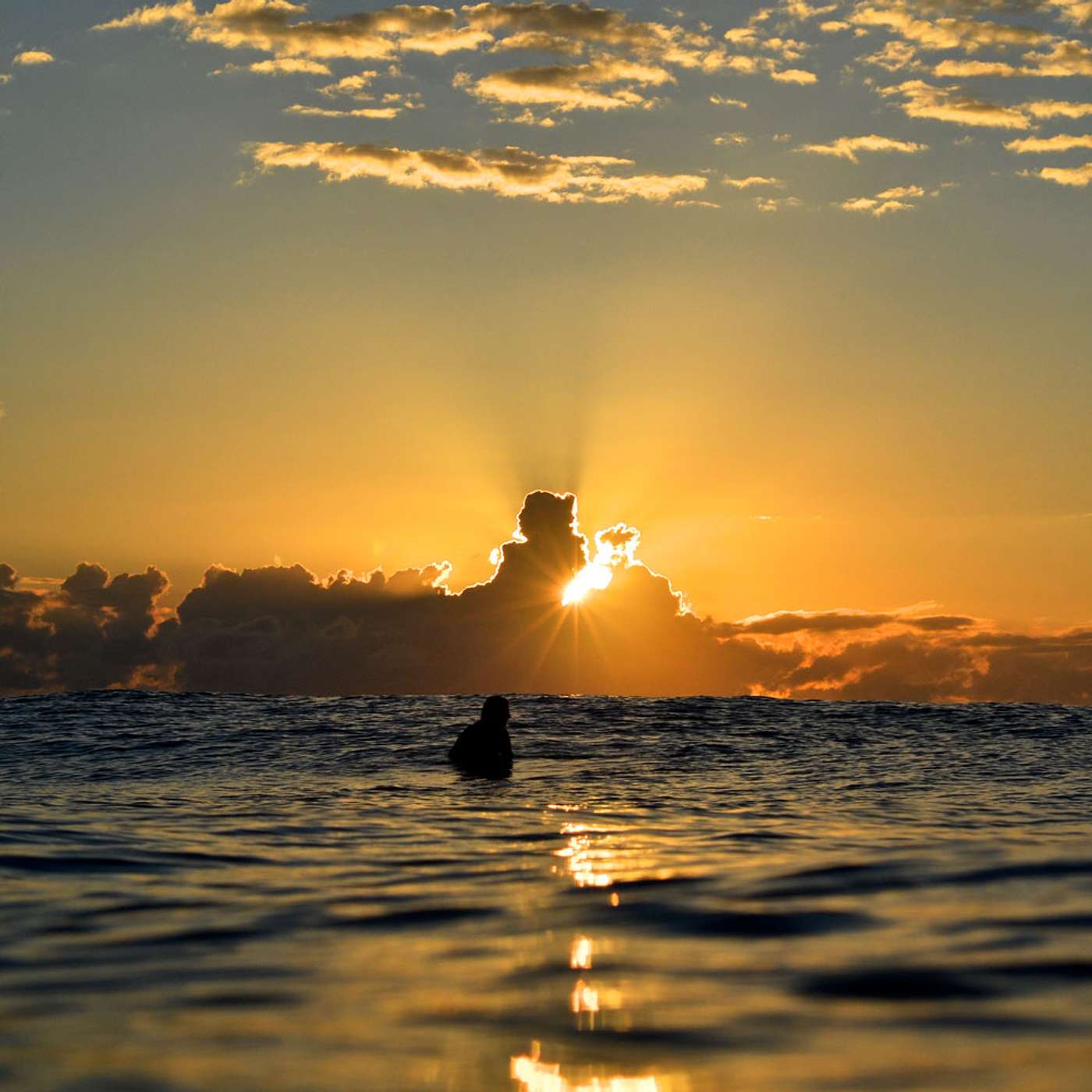 Jessica Gardner - health for your body means health for your mind Jessica Gardner - health for your body means health for your mind