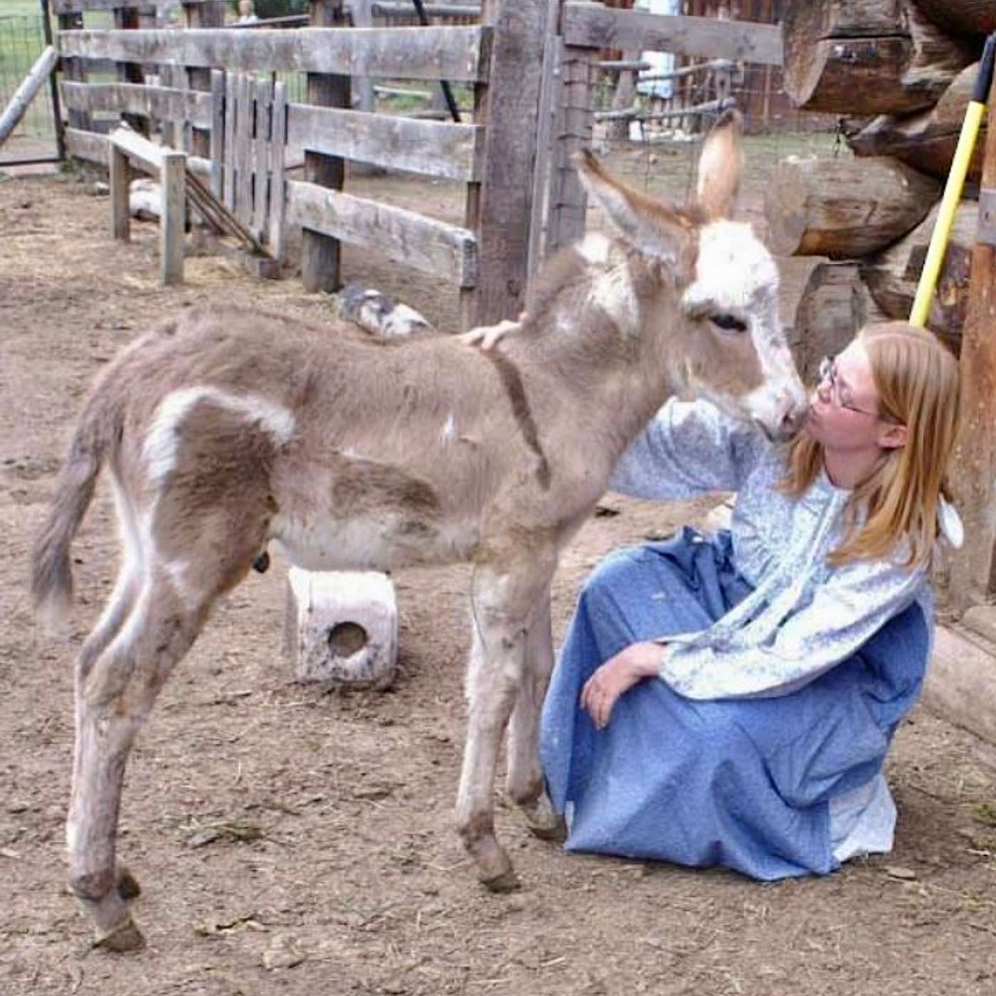 Silver On the Sage
