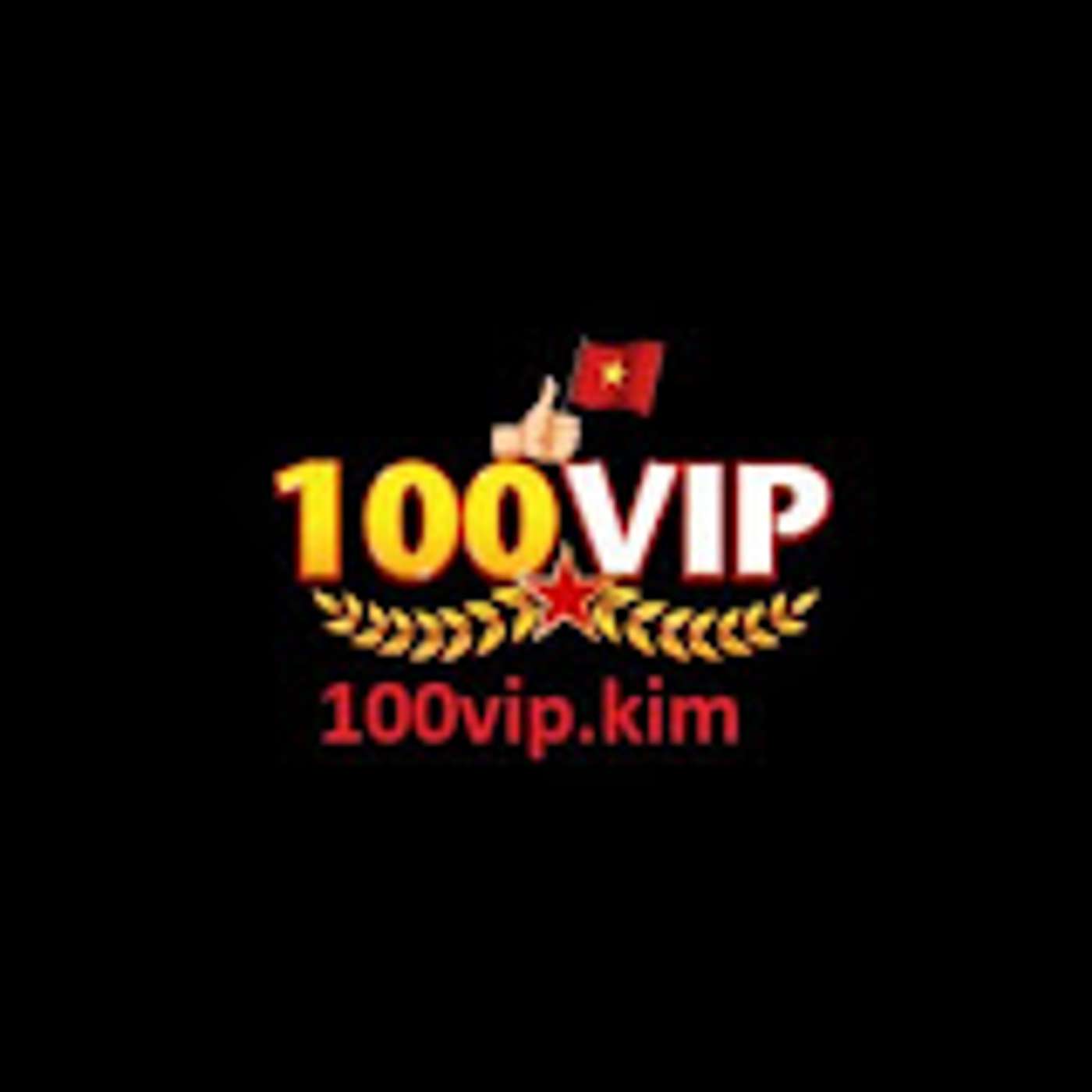 100VIP 100VIP