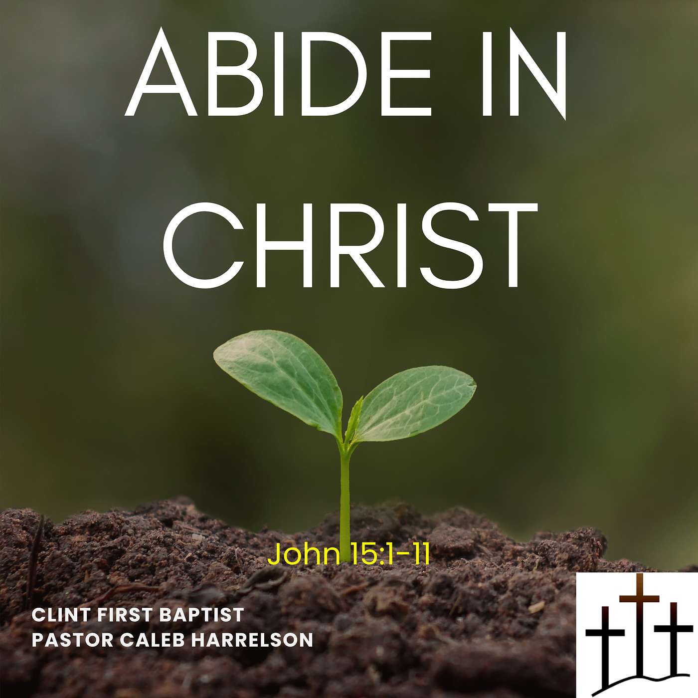 Abide in Christ (John 15:1-11)