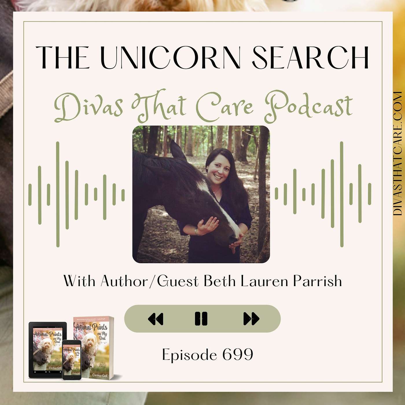 Special Episode: The Unicorn Search episode artwork