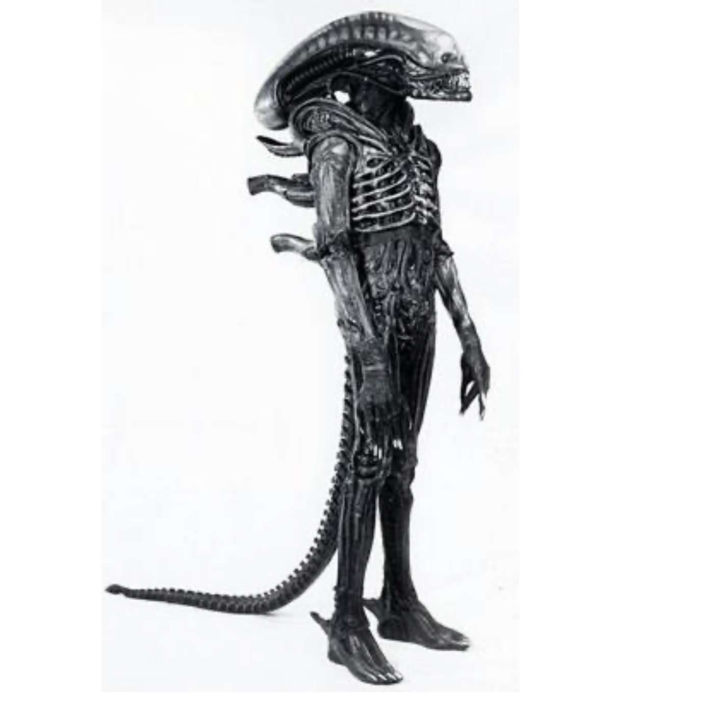 Friday, September 13, 2024 - Turns out, Cotton-Eyed Joe is a dance, not an optic emergency 😏