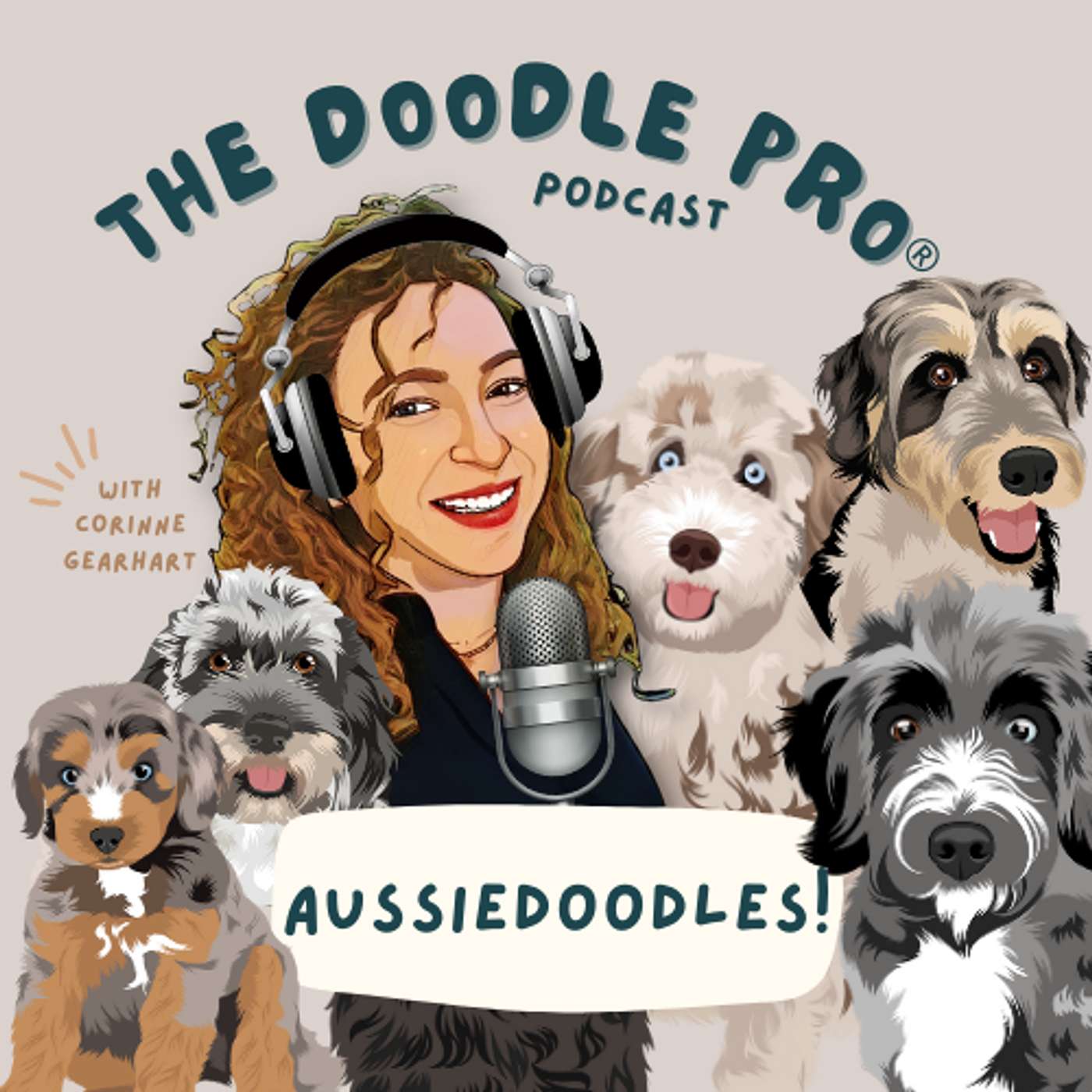 Meet the Aussiedoodle: Top Traits and Care Tips for This Intelligent Doodle