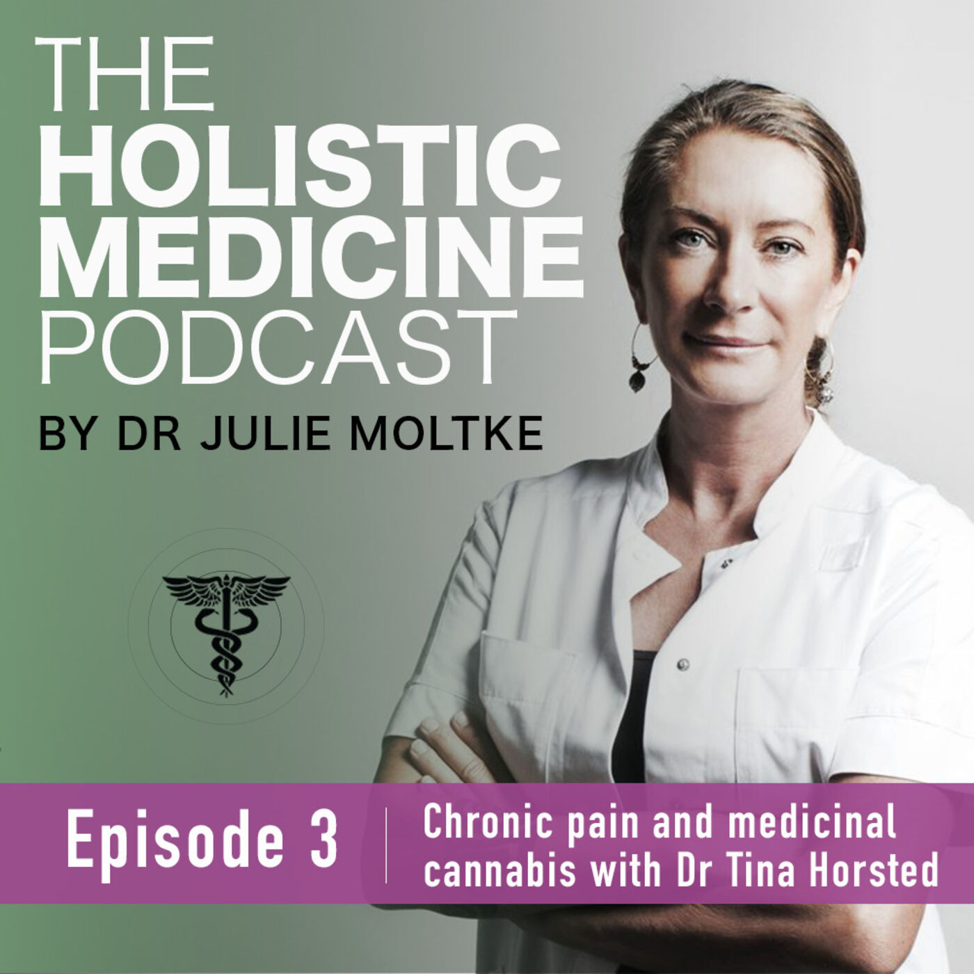 The Holistic Medicine Podcast by Dr Julie Moltke