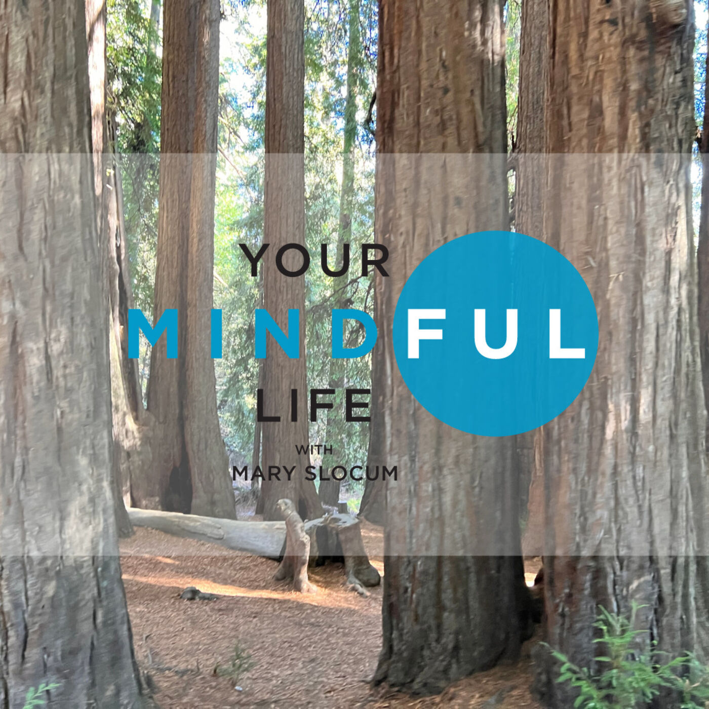 Your Mindful Life