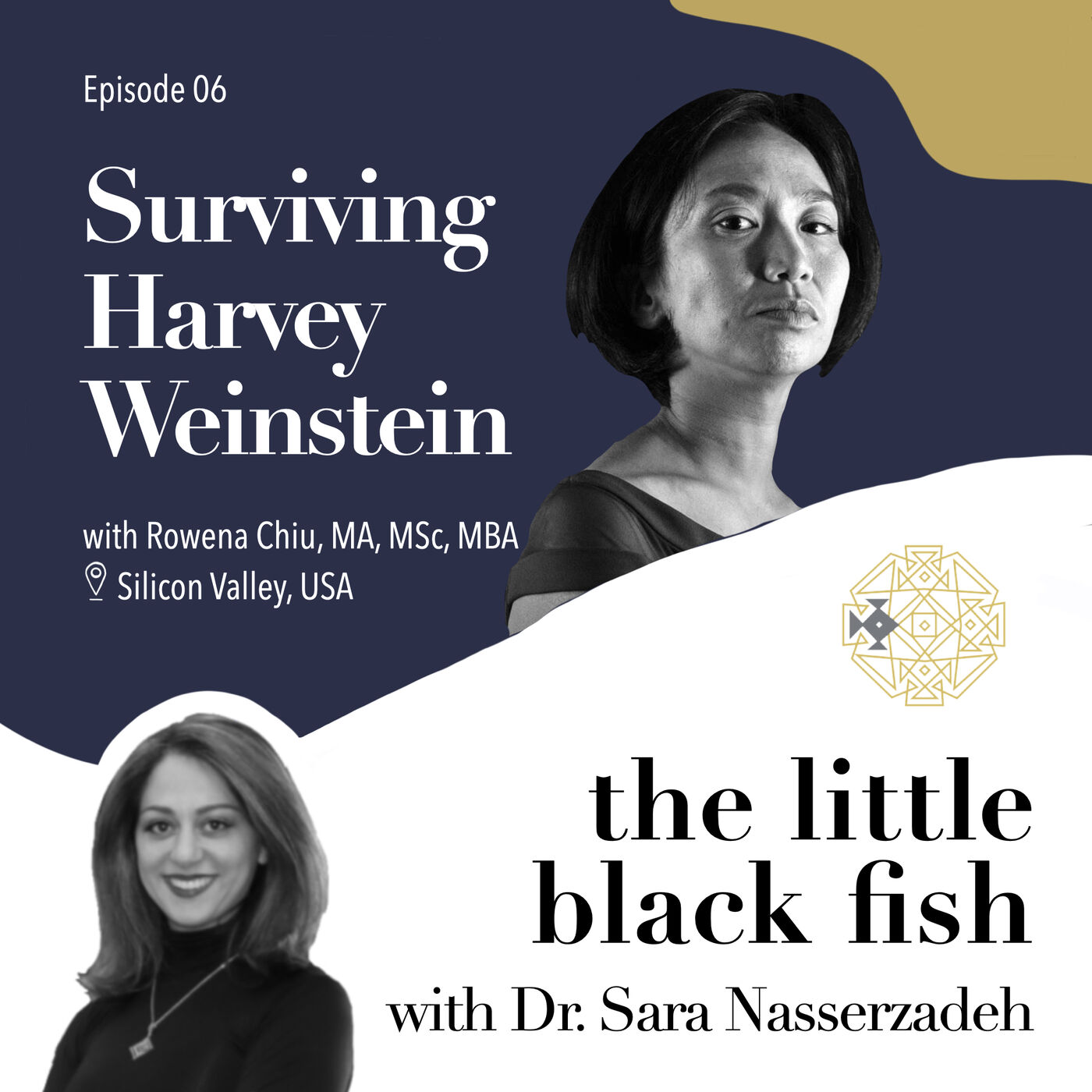 the little black fish