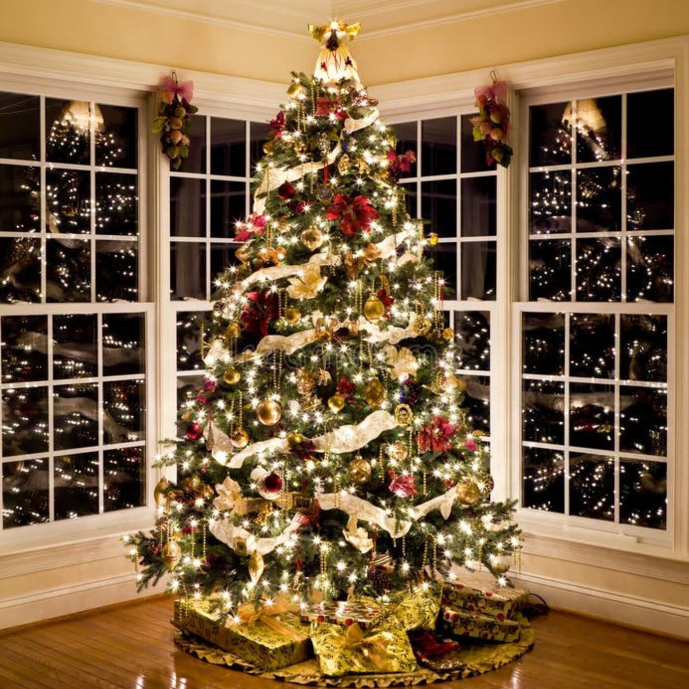 Episode 1449 - The Tree, the Jew and the Newspaper