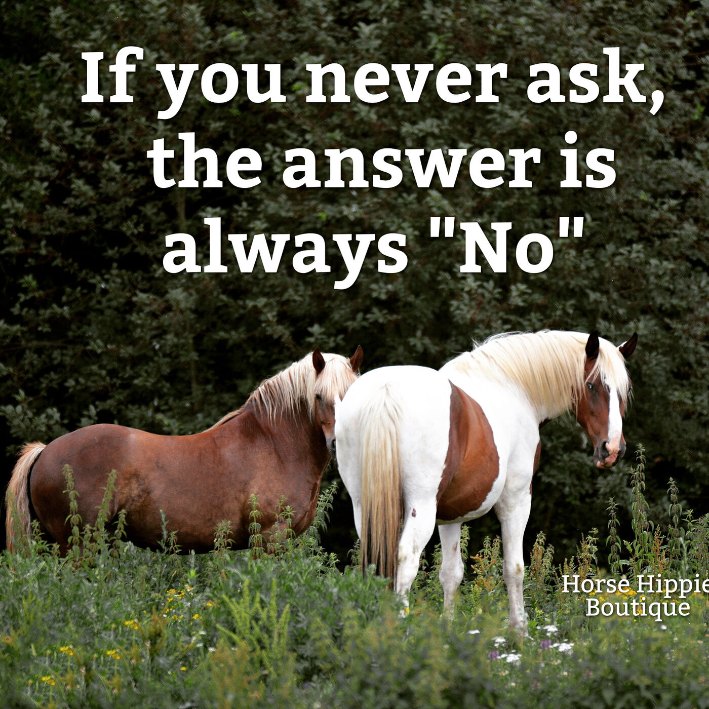 Ask and You Shall Receive