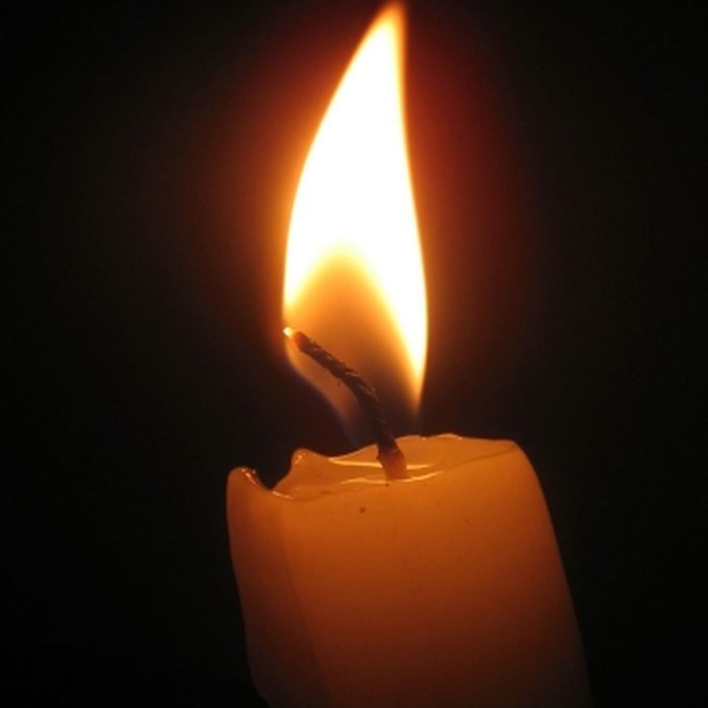 2711 Daily Torah Schmooze