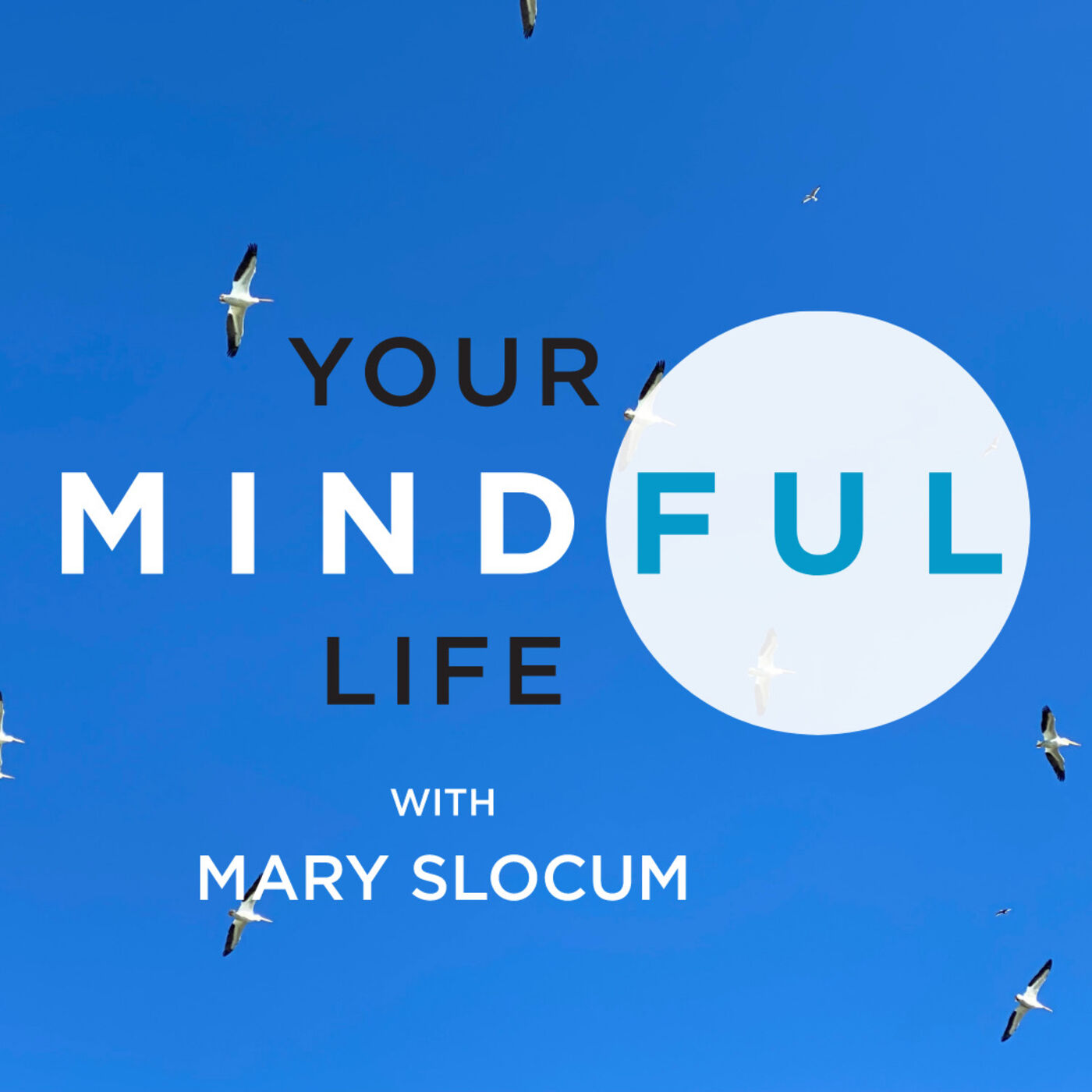 Your Mindful Life