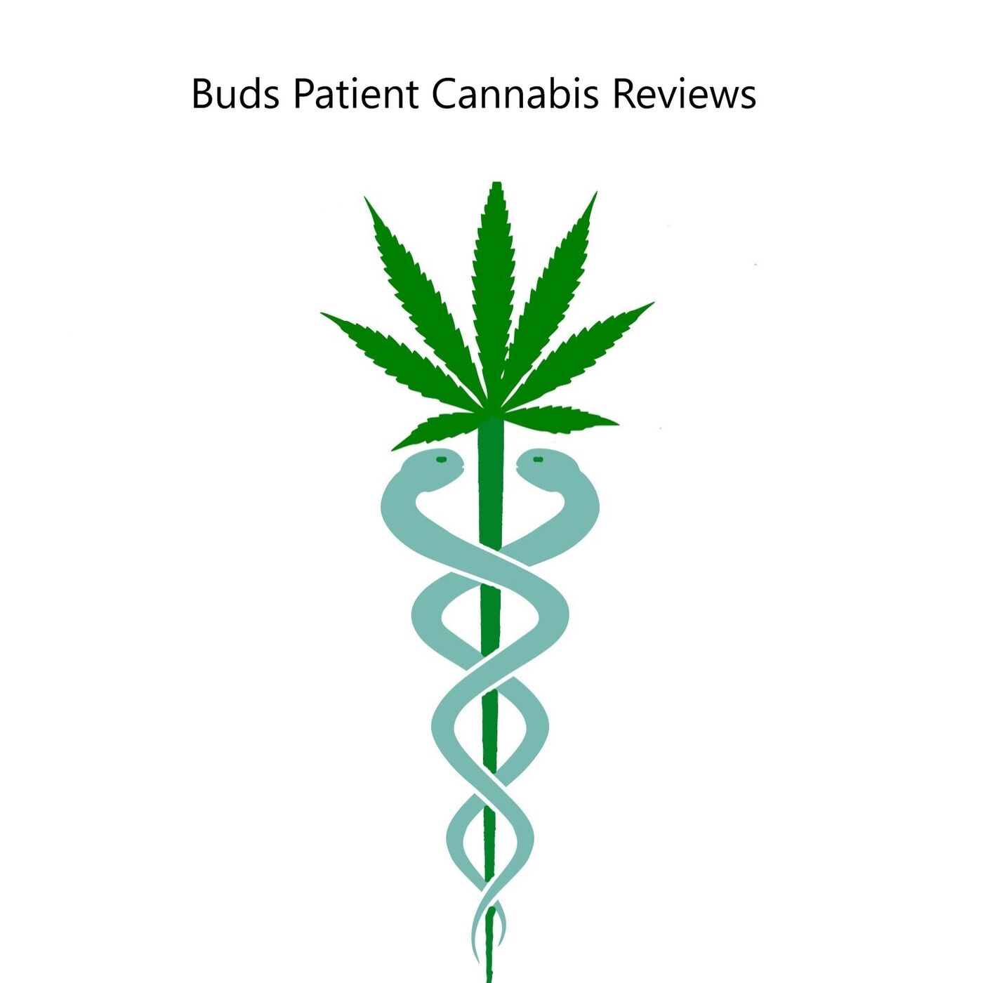 Bud's Reviews podcast artwork