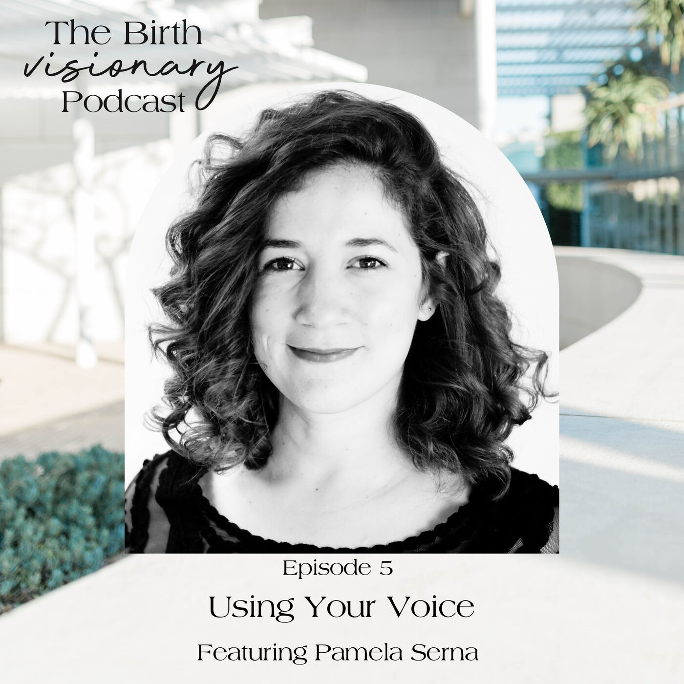 The Birth Visionary Podcast