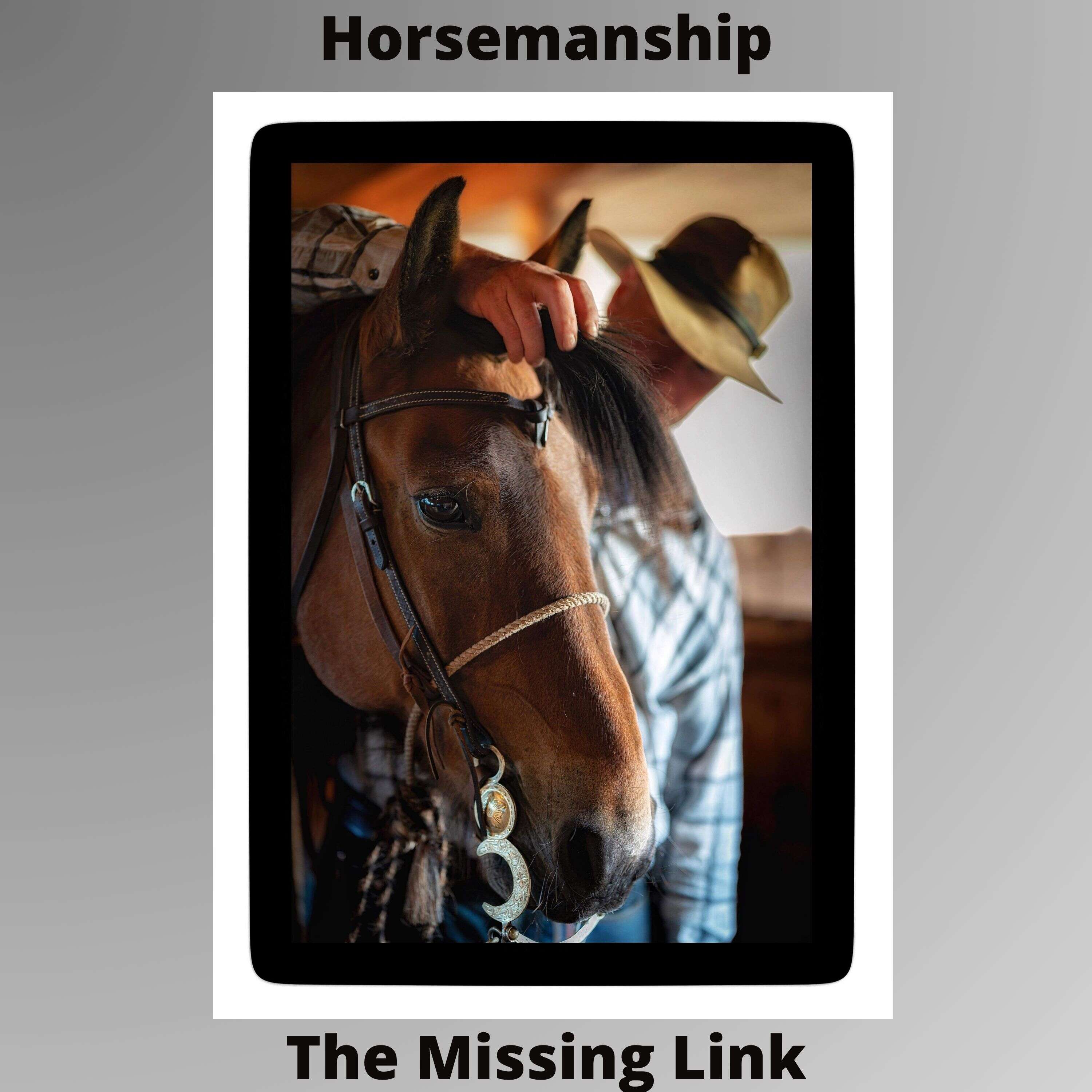 Horsemanship The Missing Link