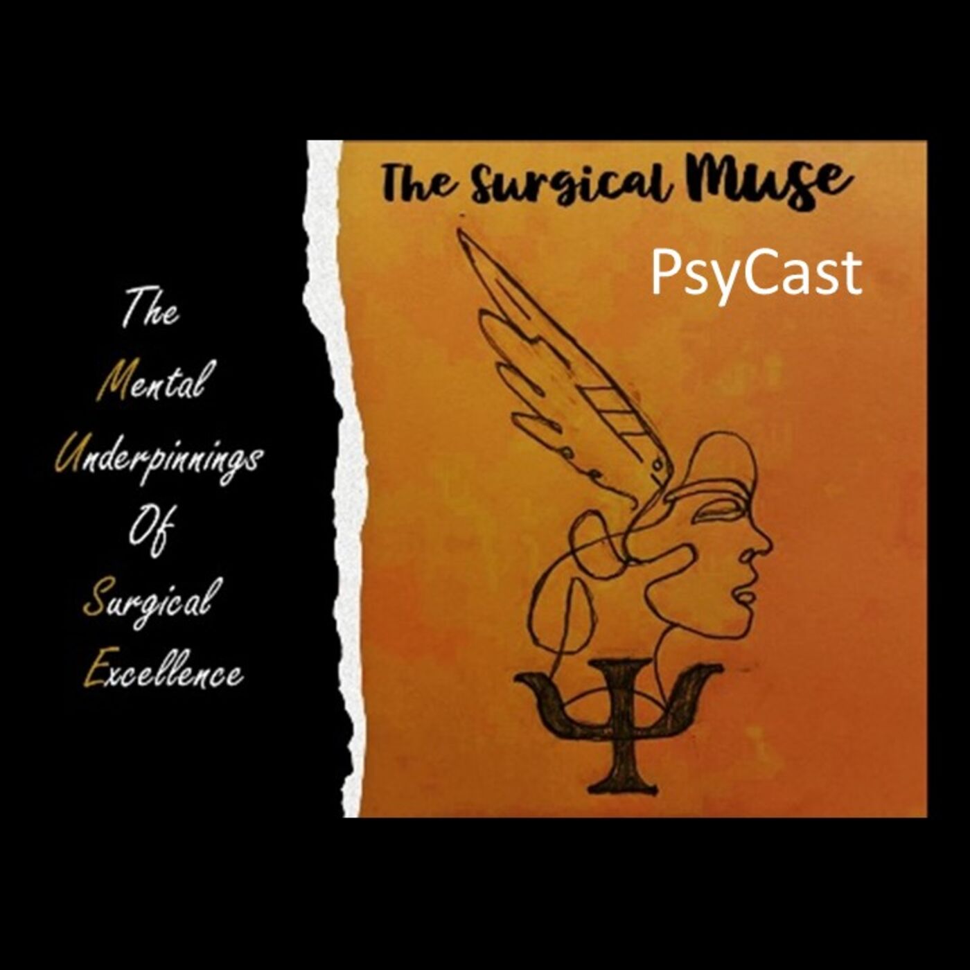 The Surgical MUSE
