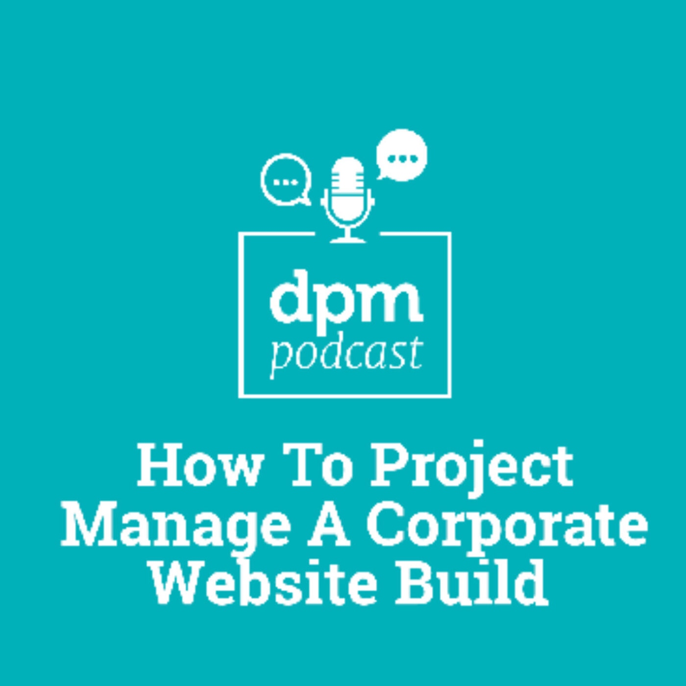 How To Project Manage A Corporate Website Build (With Rich Butkevic)