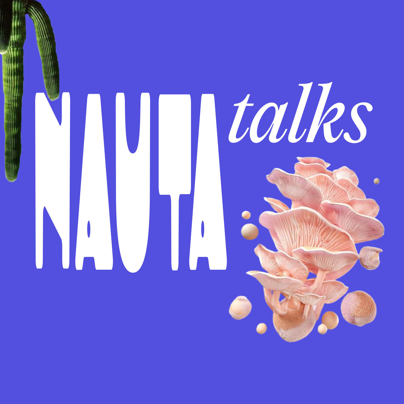 Nauta Talks