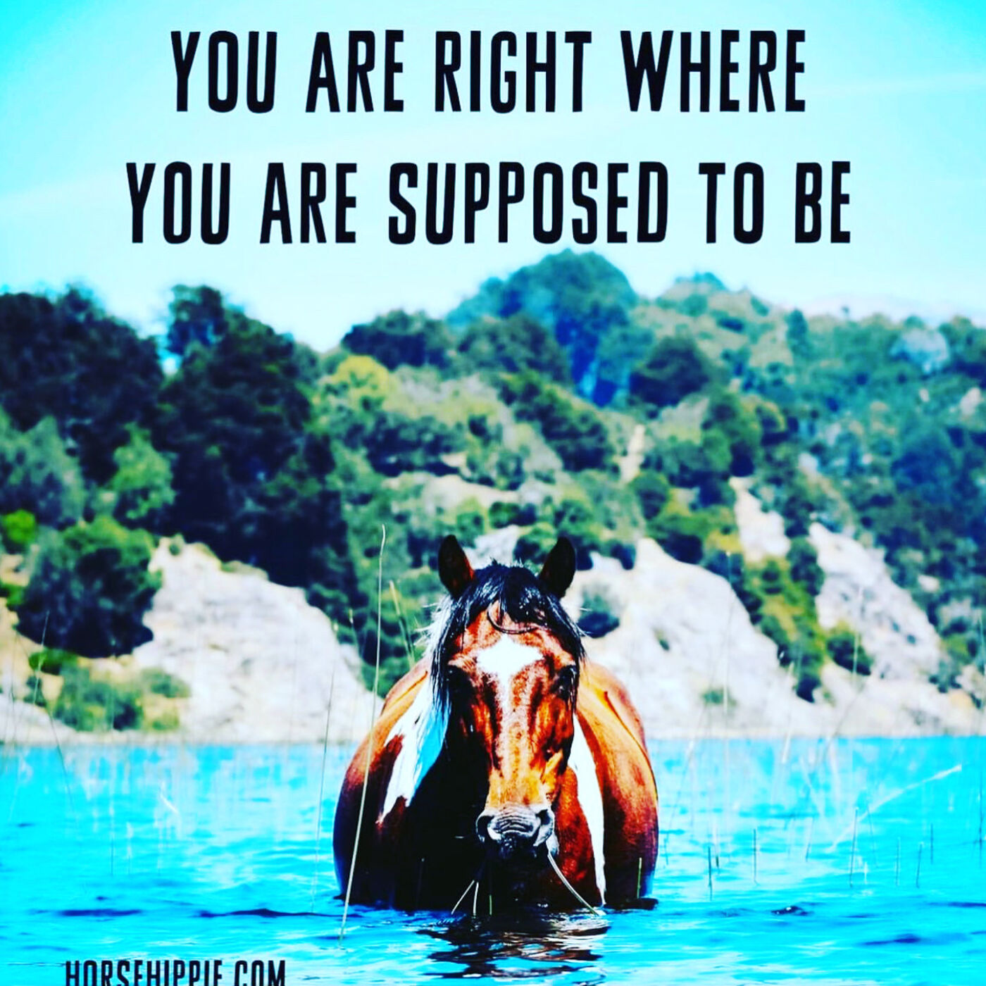 Where You Are Supposed to Be