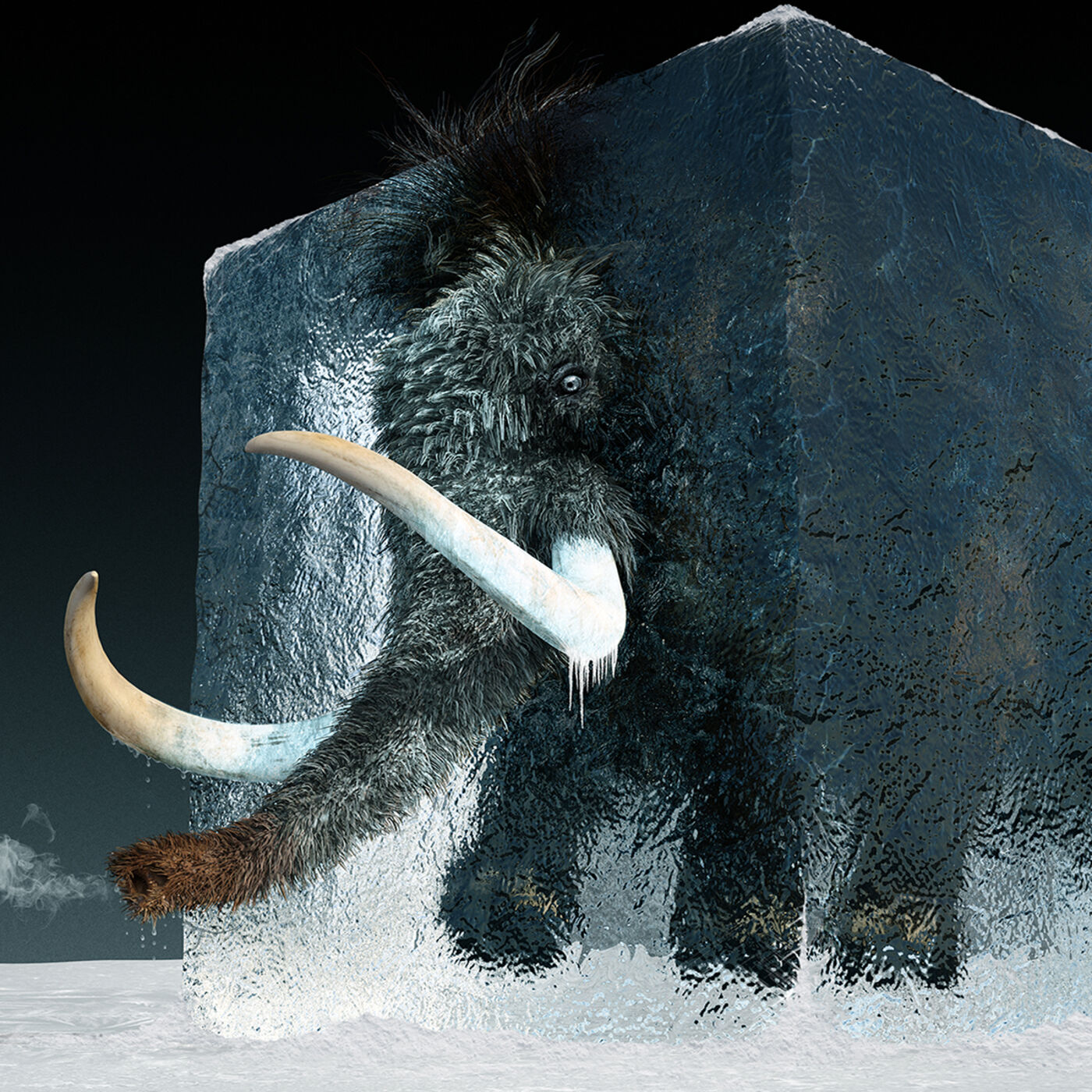 Microbial Record-Breakers