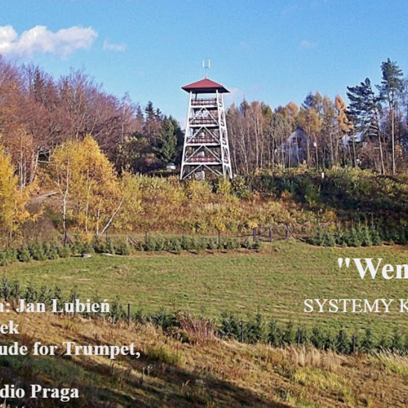 Systemy kubitowe