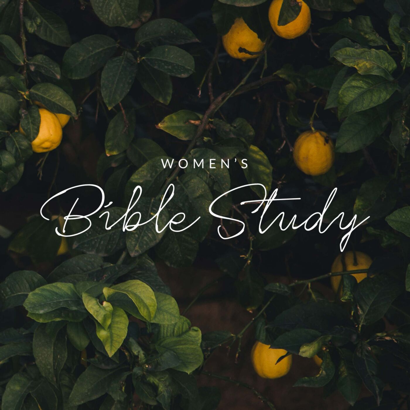 Working At Home: Titus, Characteristics of a Godly Woman