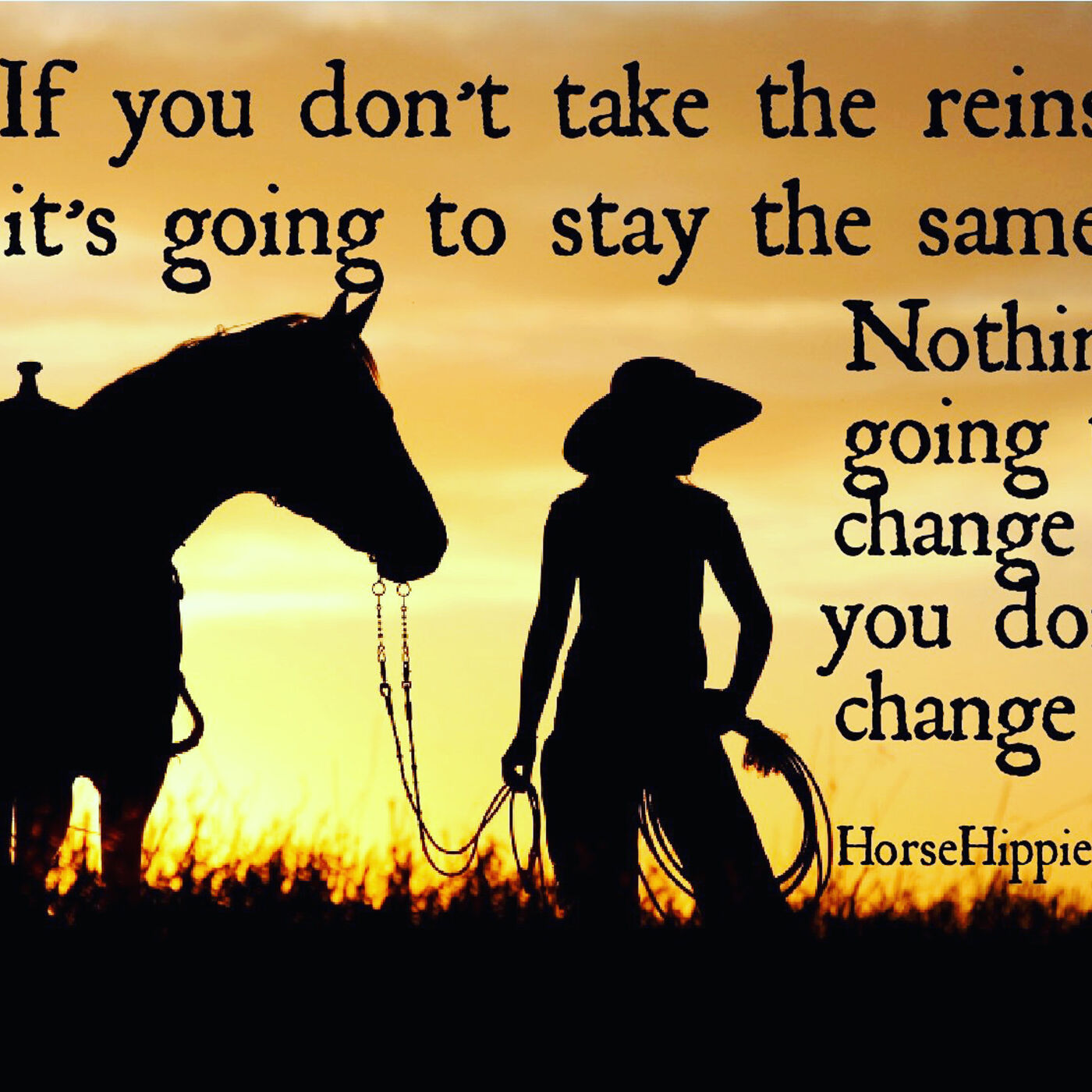 Take the Reins