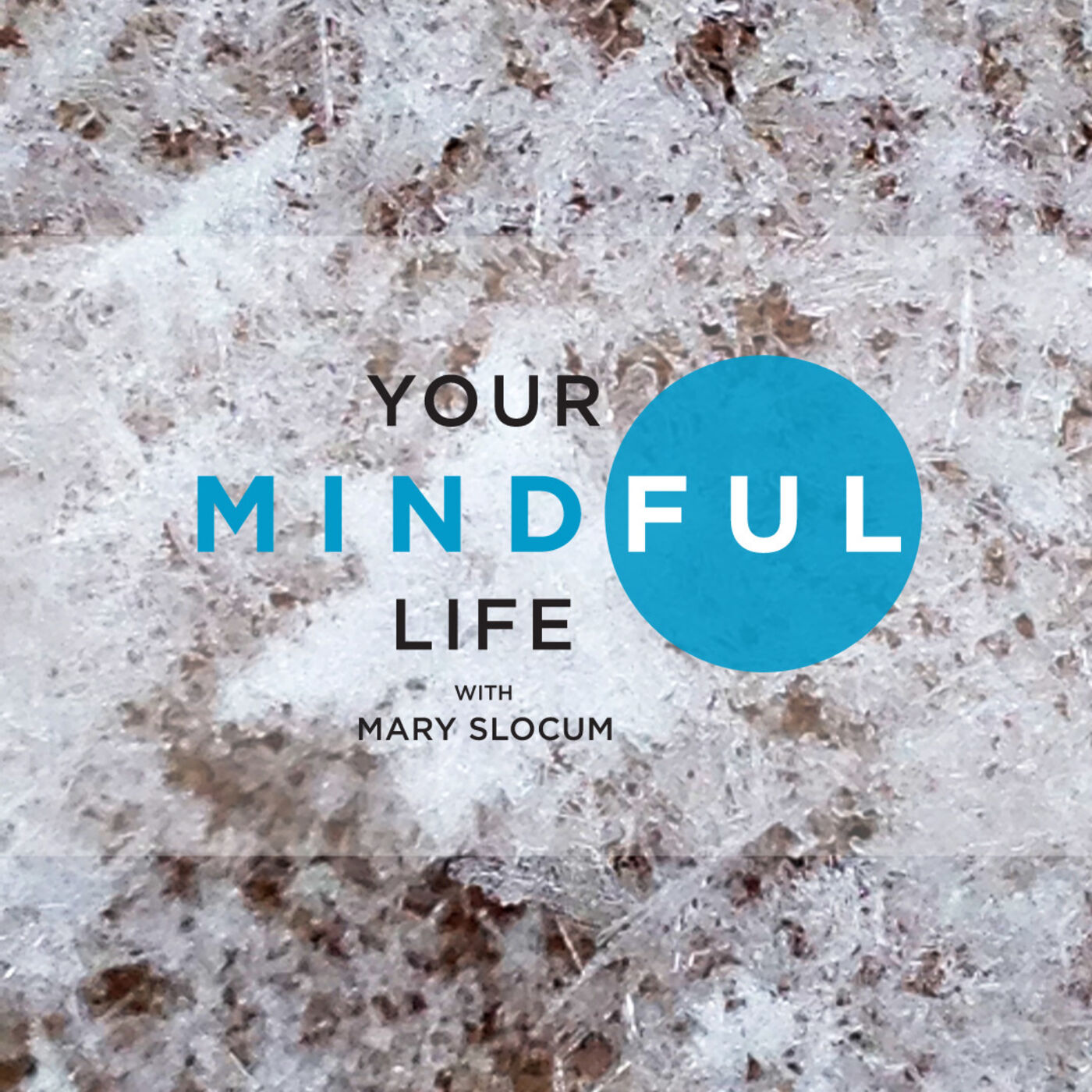 Your Mindful Life