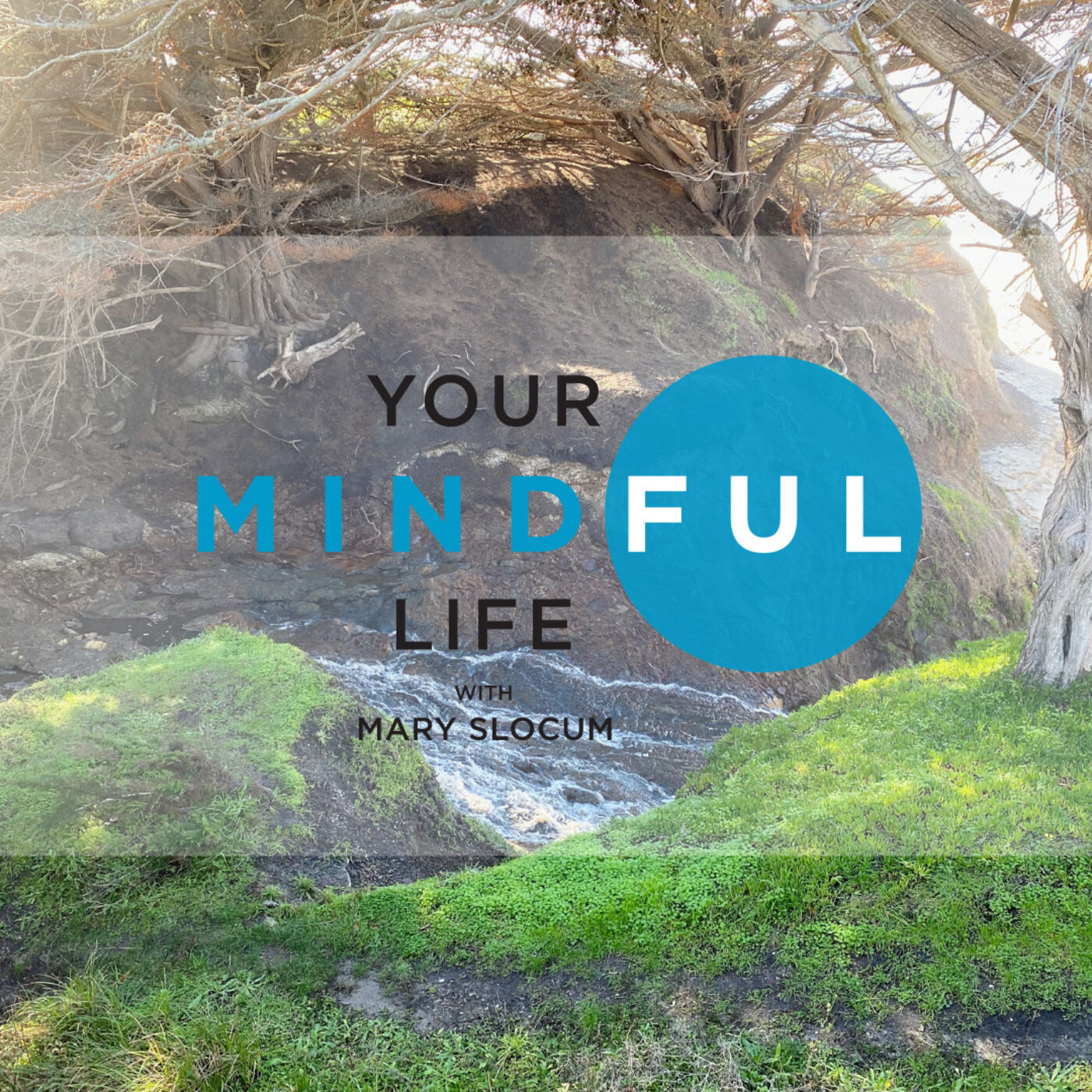 Your Mindful Life
