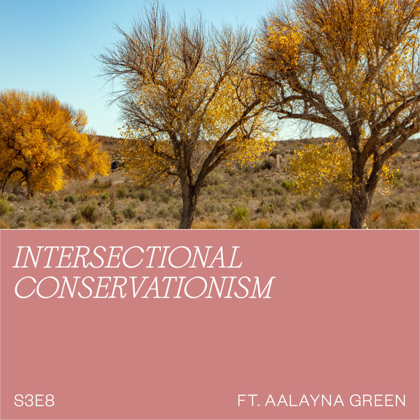 Crystals, Clits, and Climate