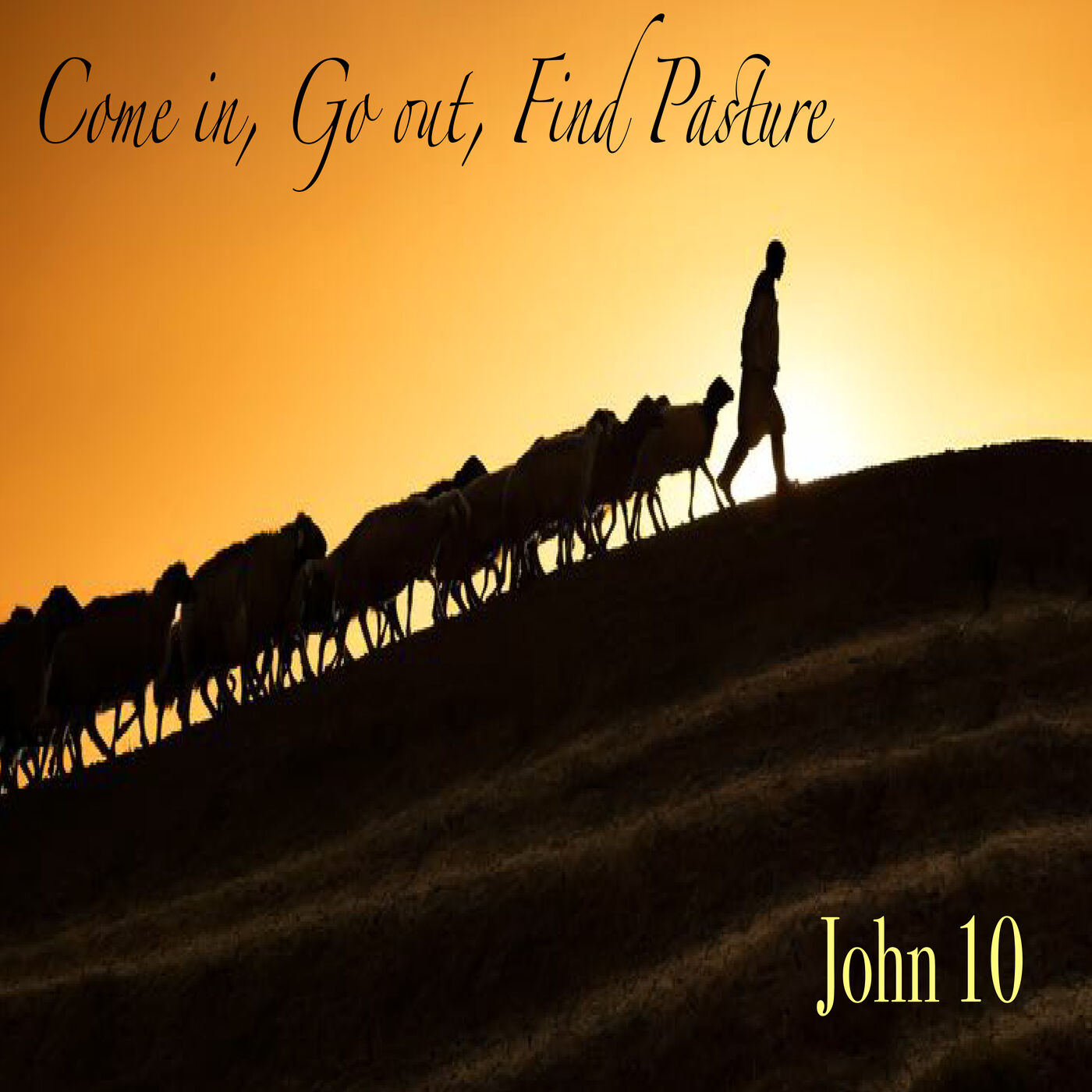 Come In, Go Out, Find Pasture: I am the Good Shepherd (John 10)