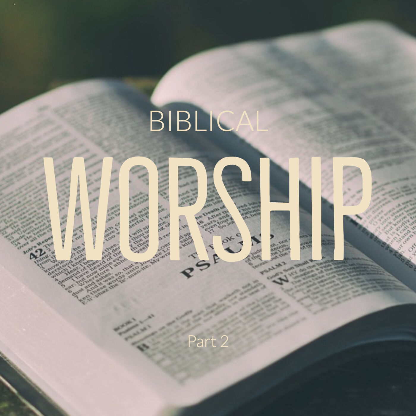 Biblical Worship Part 2