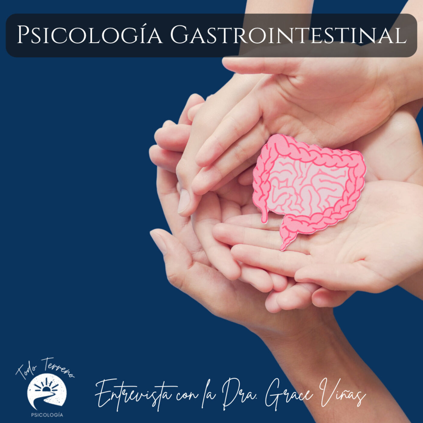 Psicologia Todo Terreno