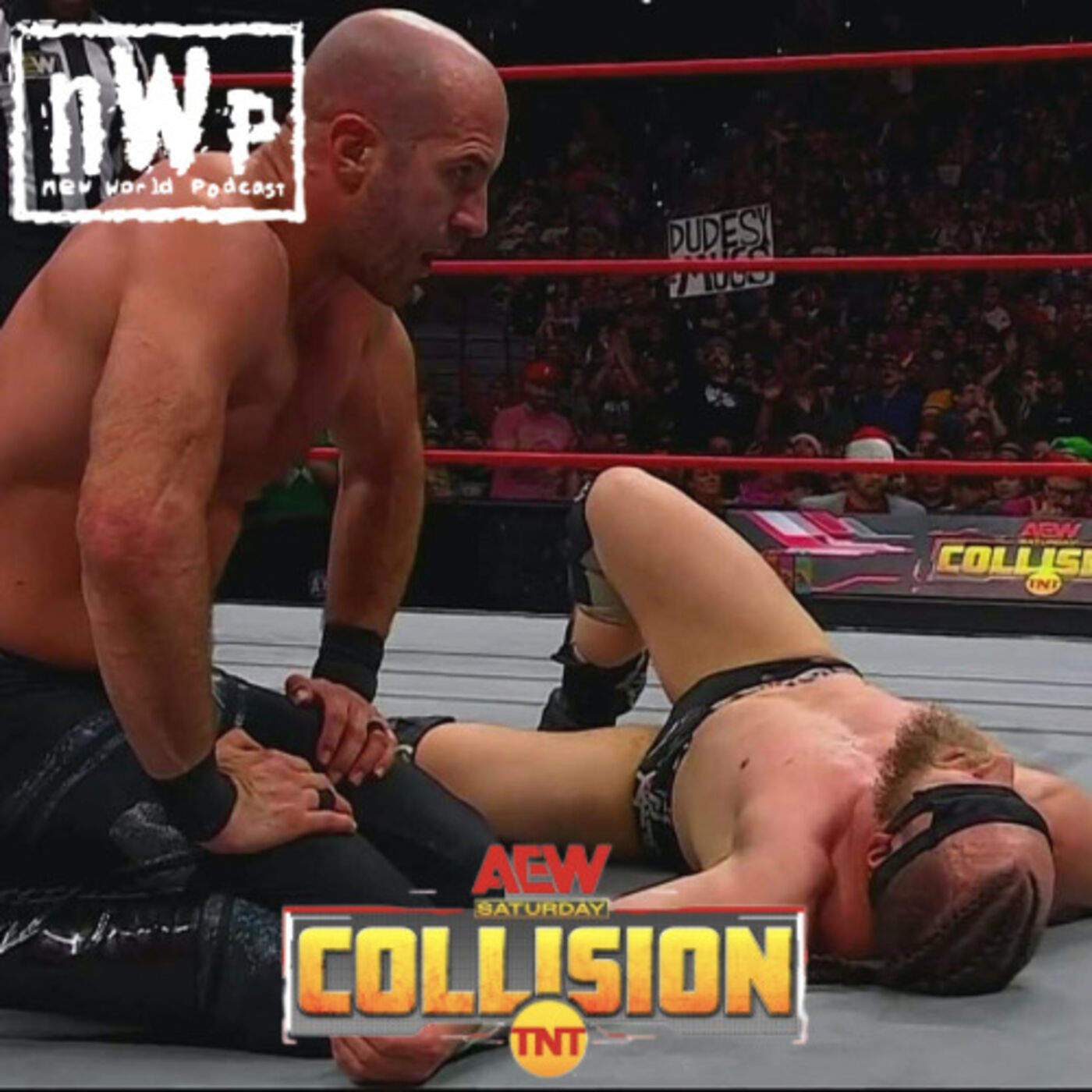 nWp: Collision (12/23/2023)