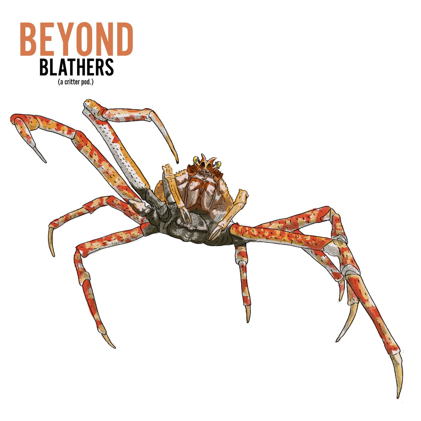 Spider Crab from Beyond Blathers on Hark