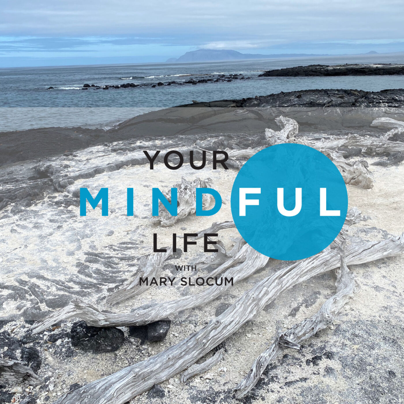 Your Mindful Life