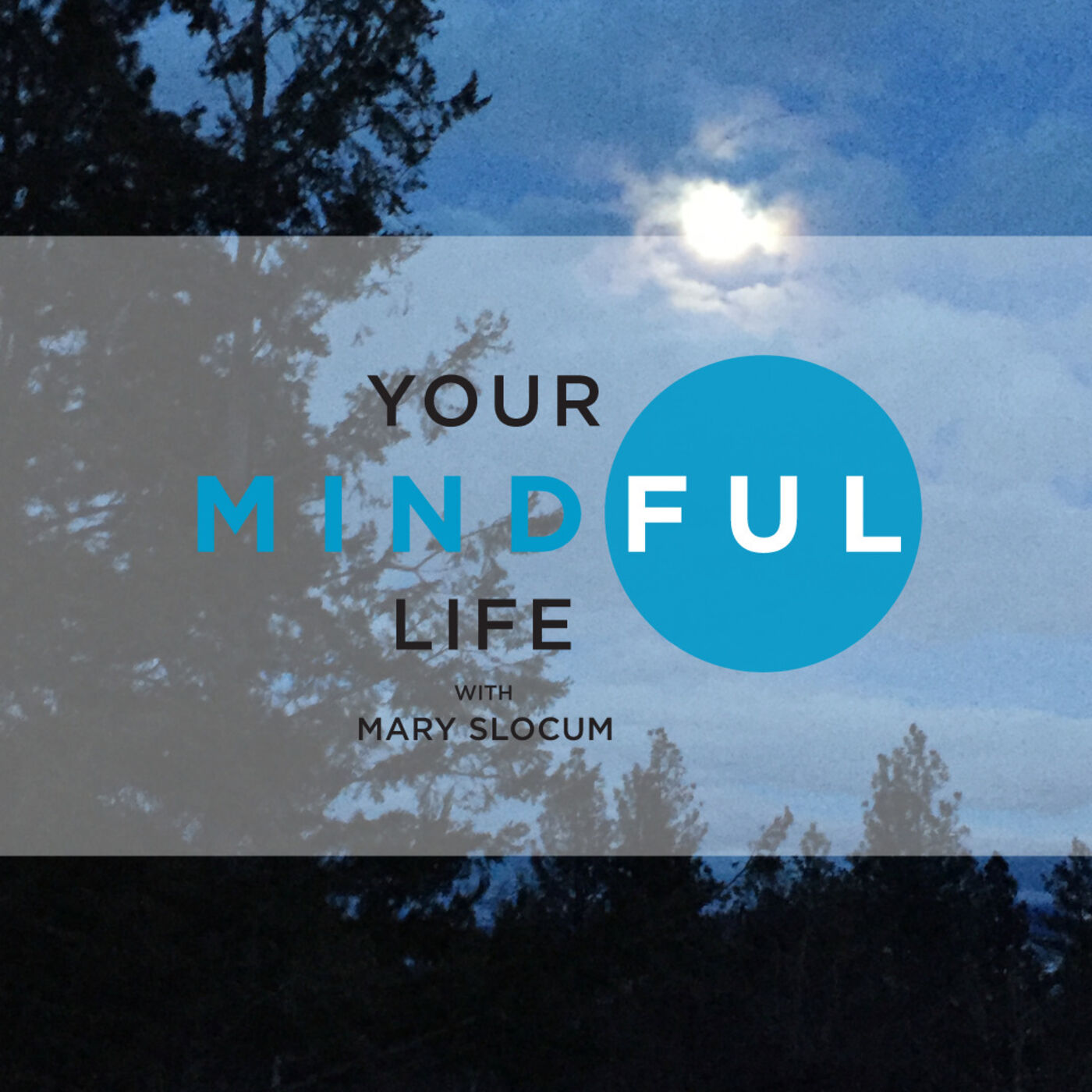 Your Mindful Life