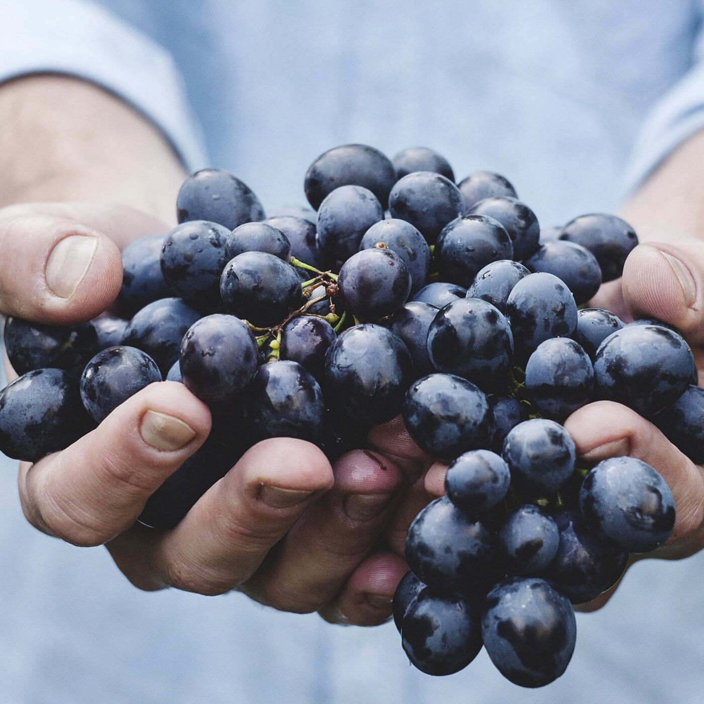 Organic Food: Rooted in Lies?