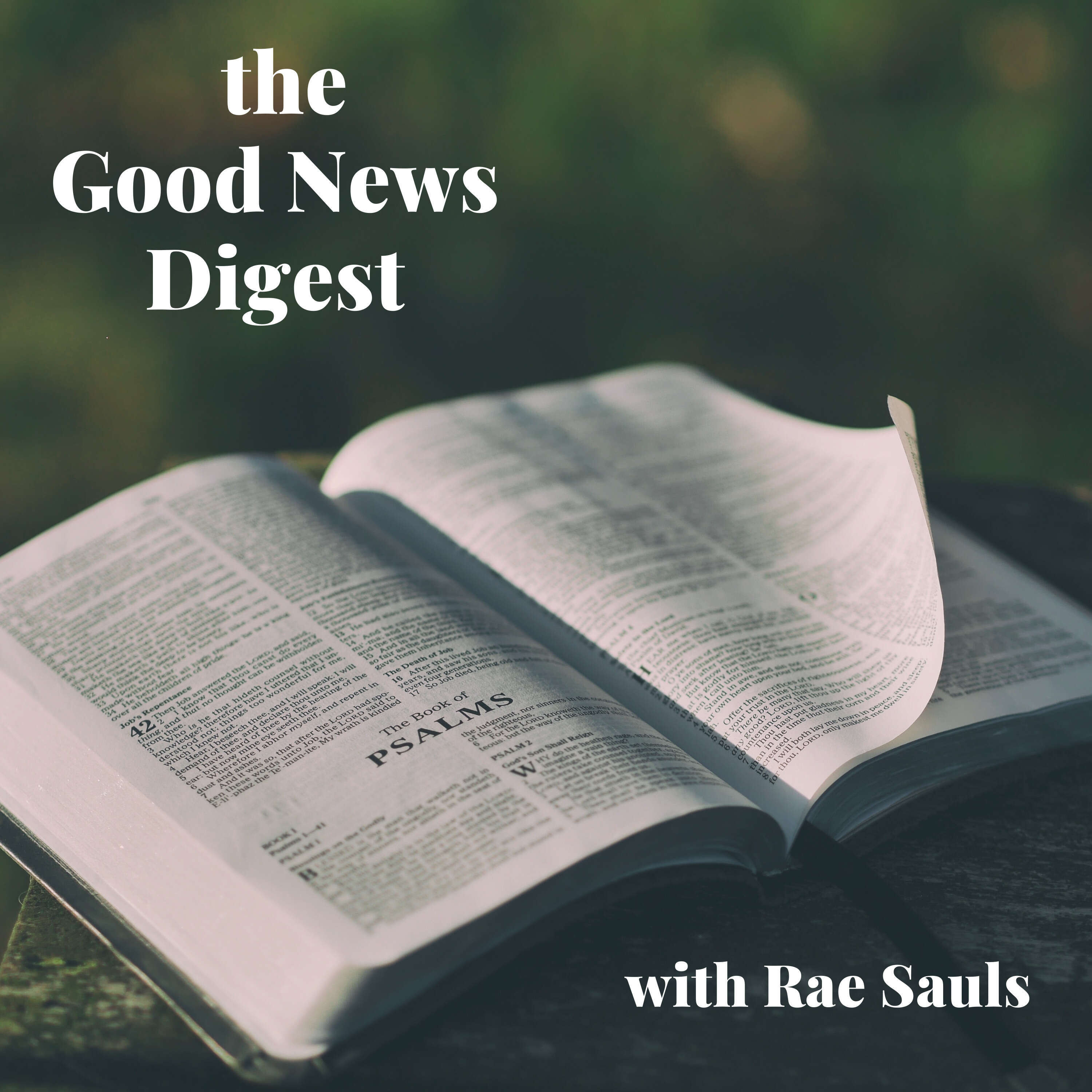THE GOOD NEWS DIGEST podcast artwork