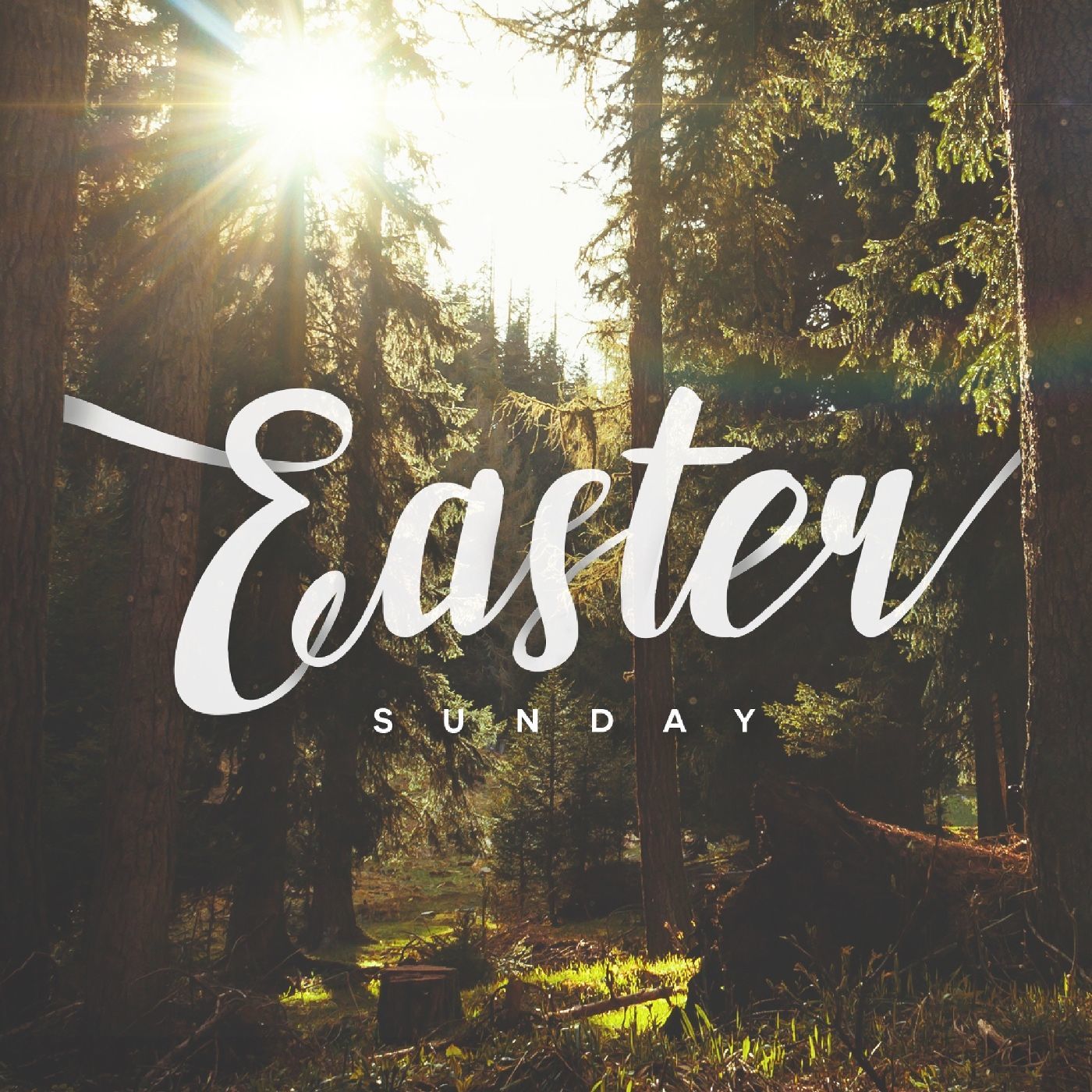 Easter: Friday's Tomb or Sunday's Tomb?