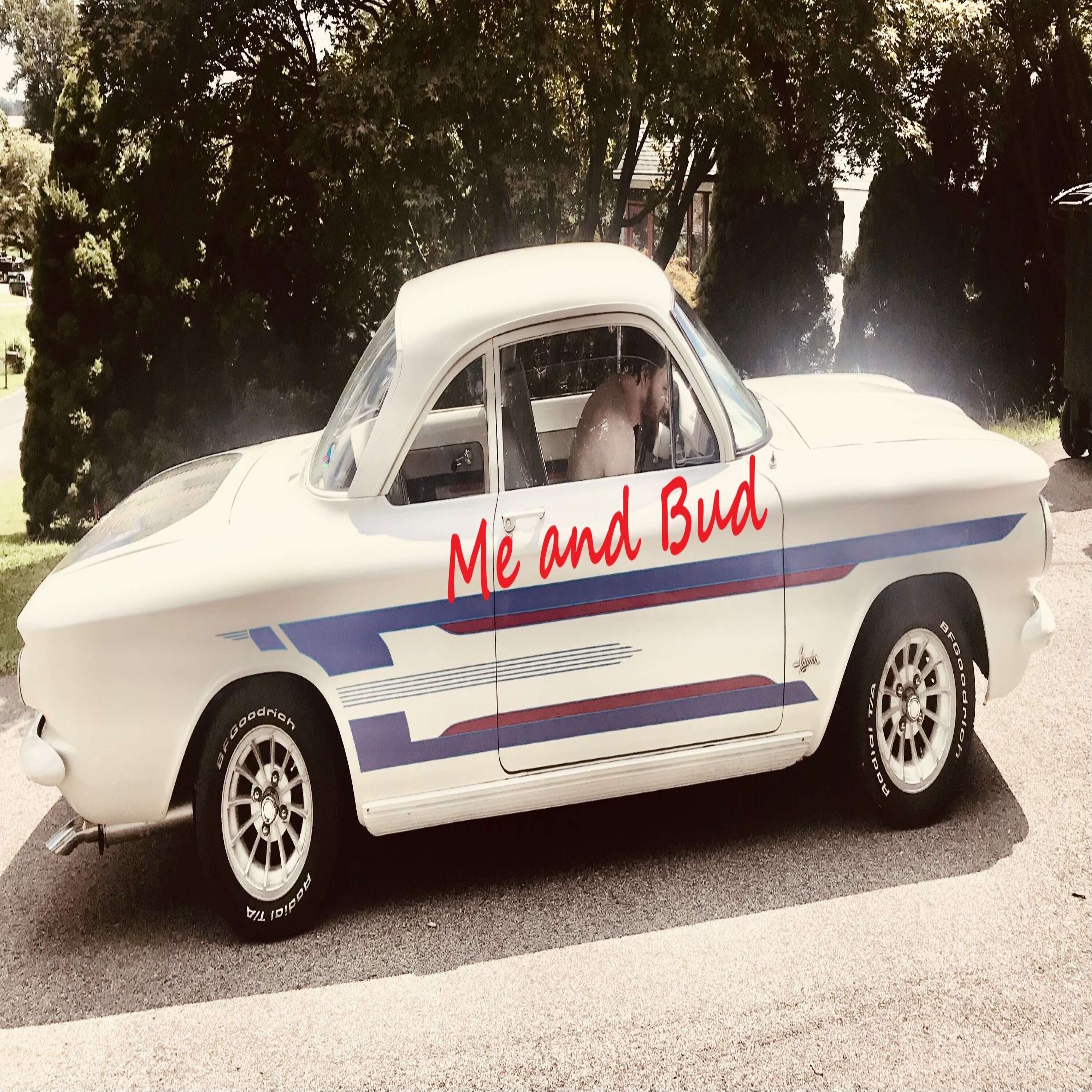 Me and Bud cover art