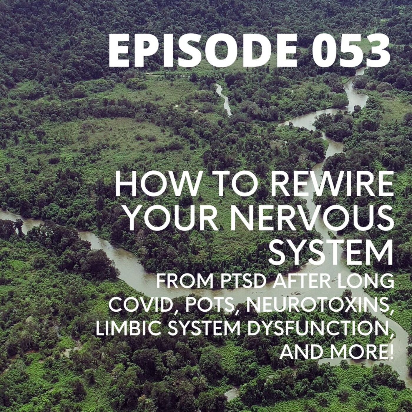 053 How To Rewire Your Nervous System from PTSD after Long COVID, POTS, Neurotoxins, Limbic