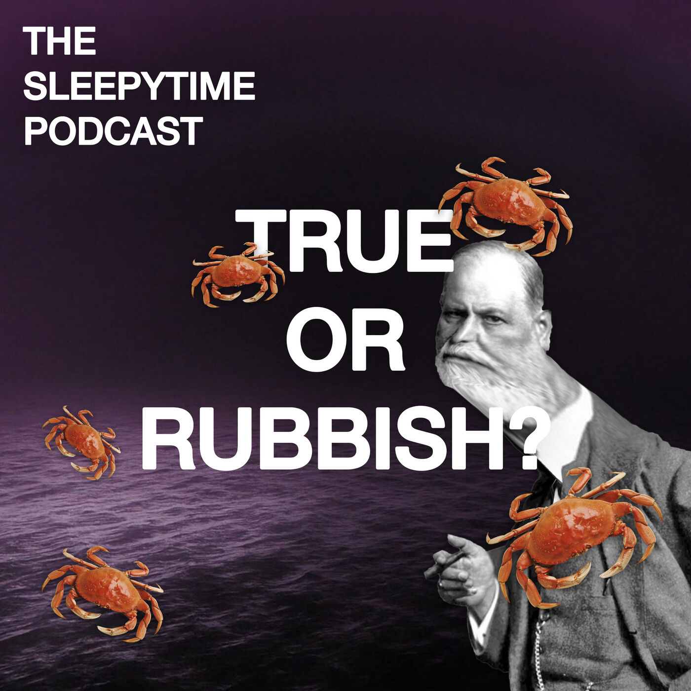 The SleepyTime Podcast