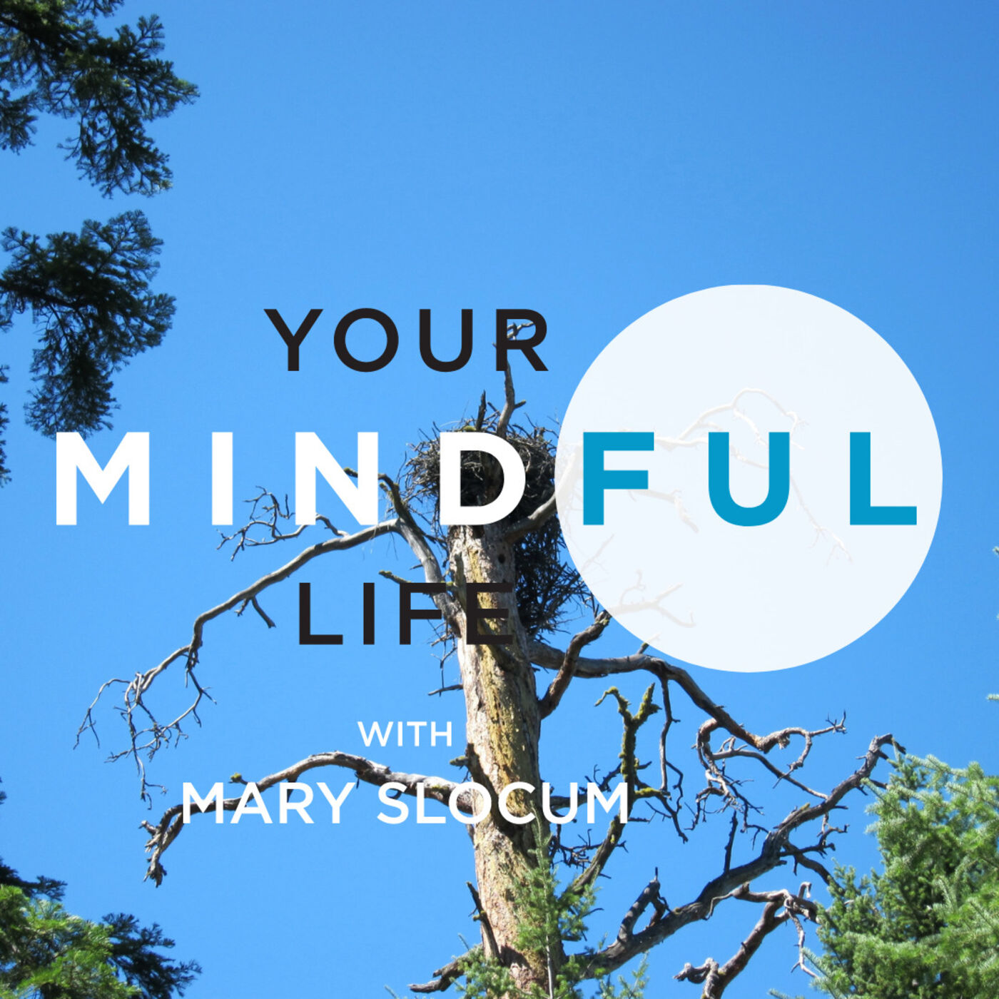 Your Mindful Life