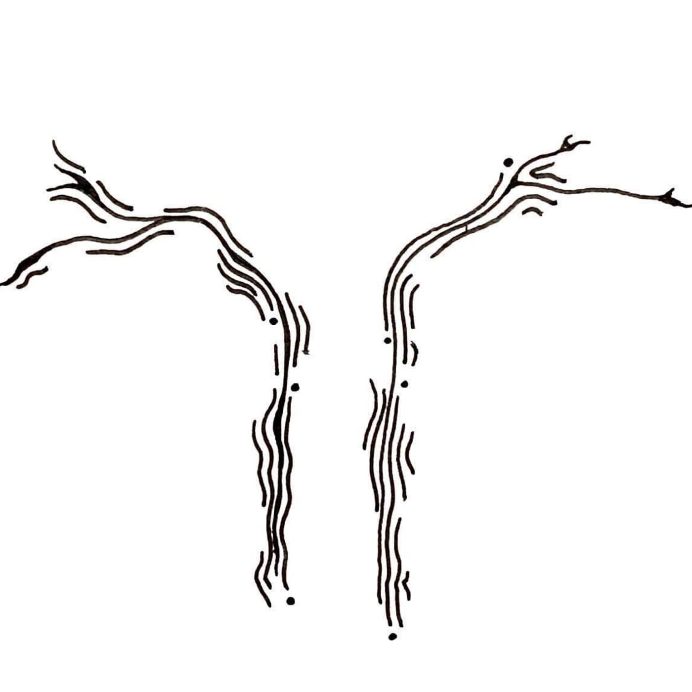 Gentle Creation