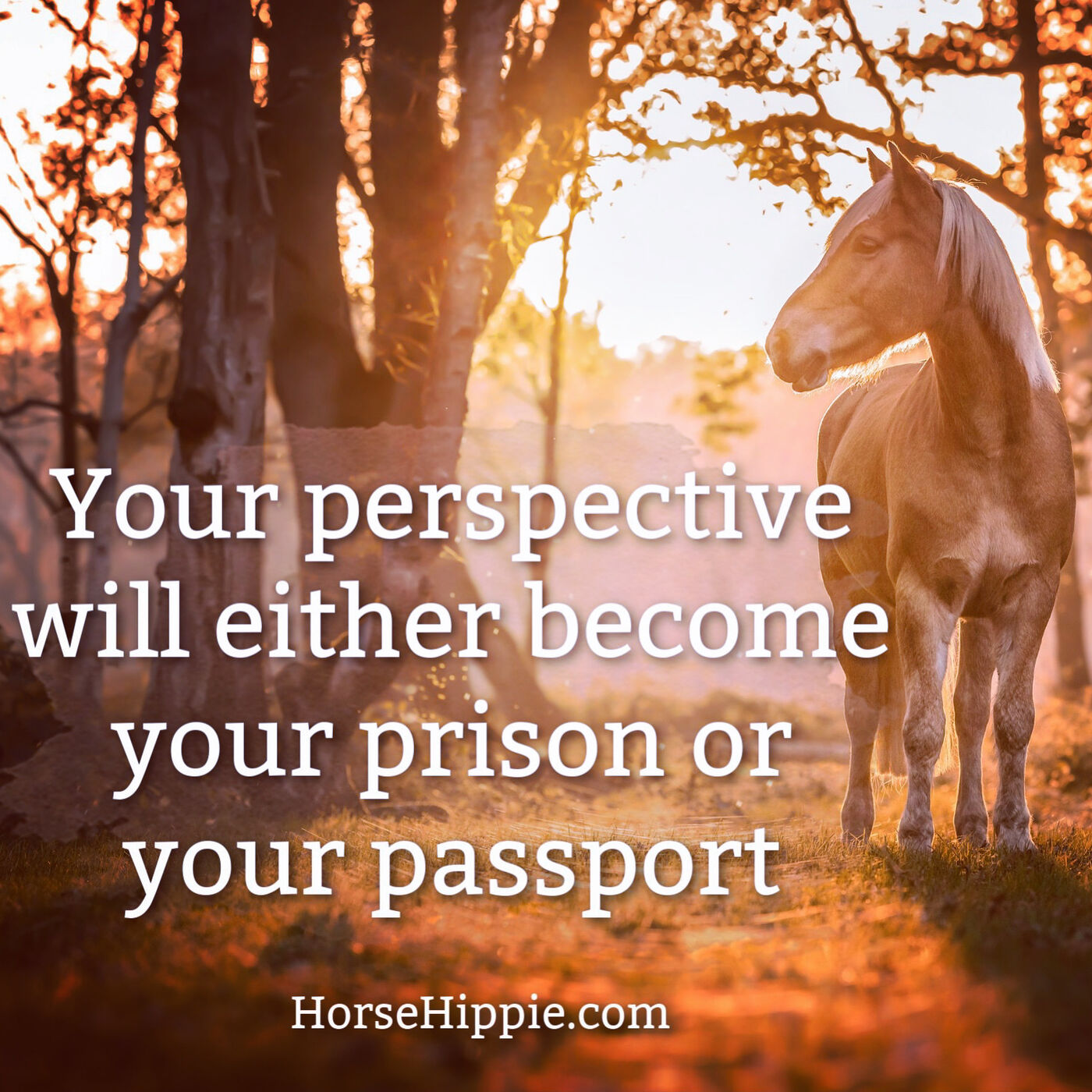 A Prison or a Passport?