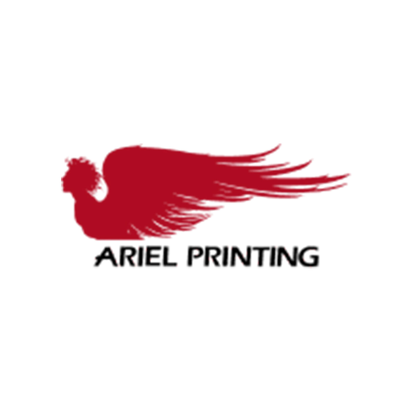Printers Adelaide's Podcast