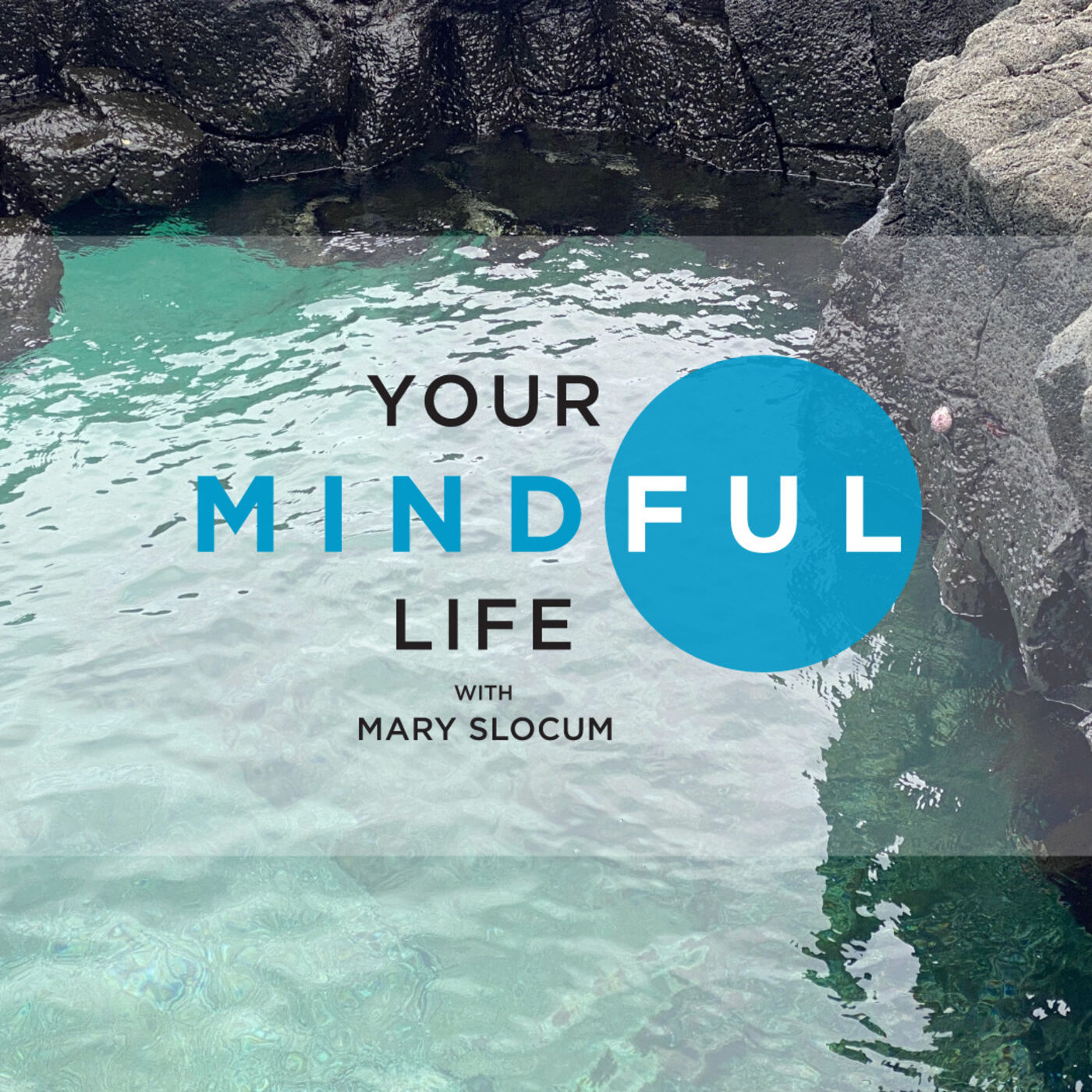 Your Mindful Life