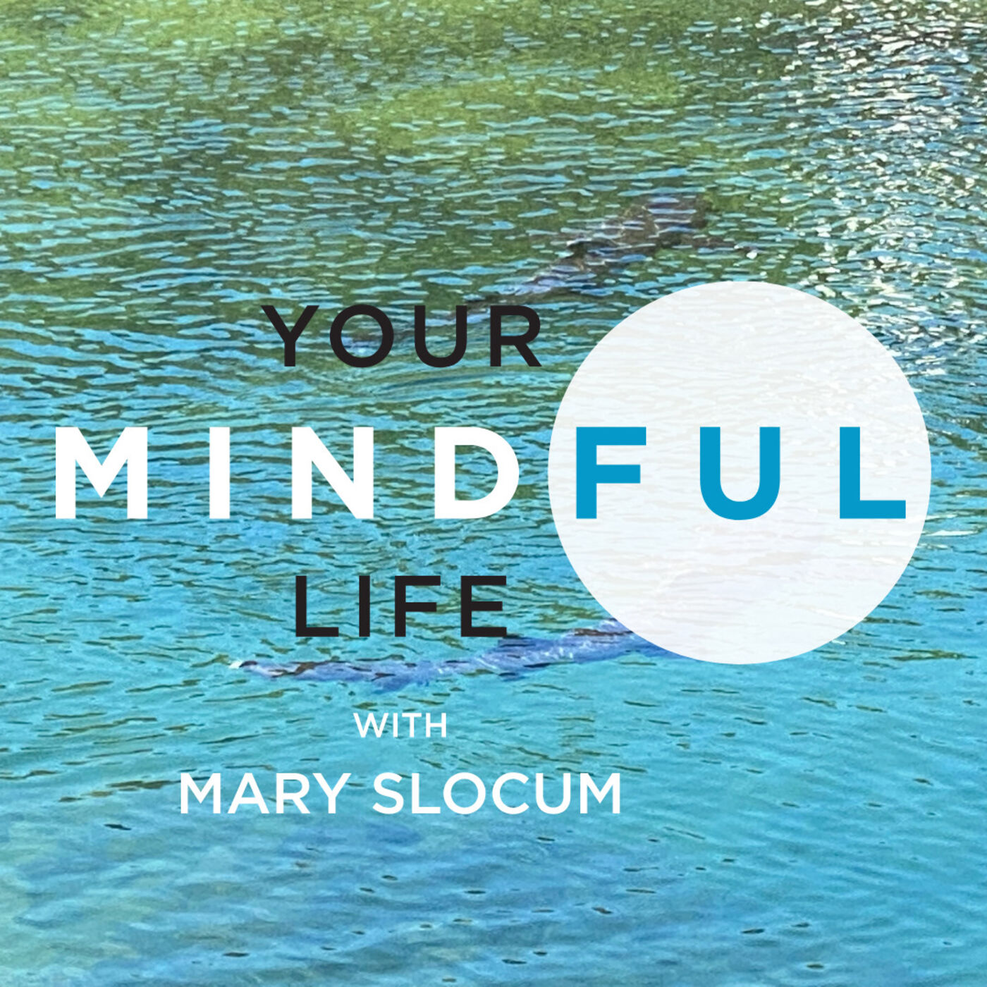 Your Mindful Life
